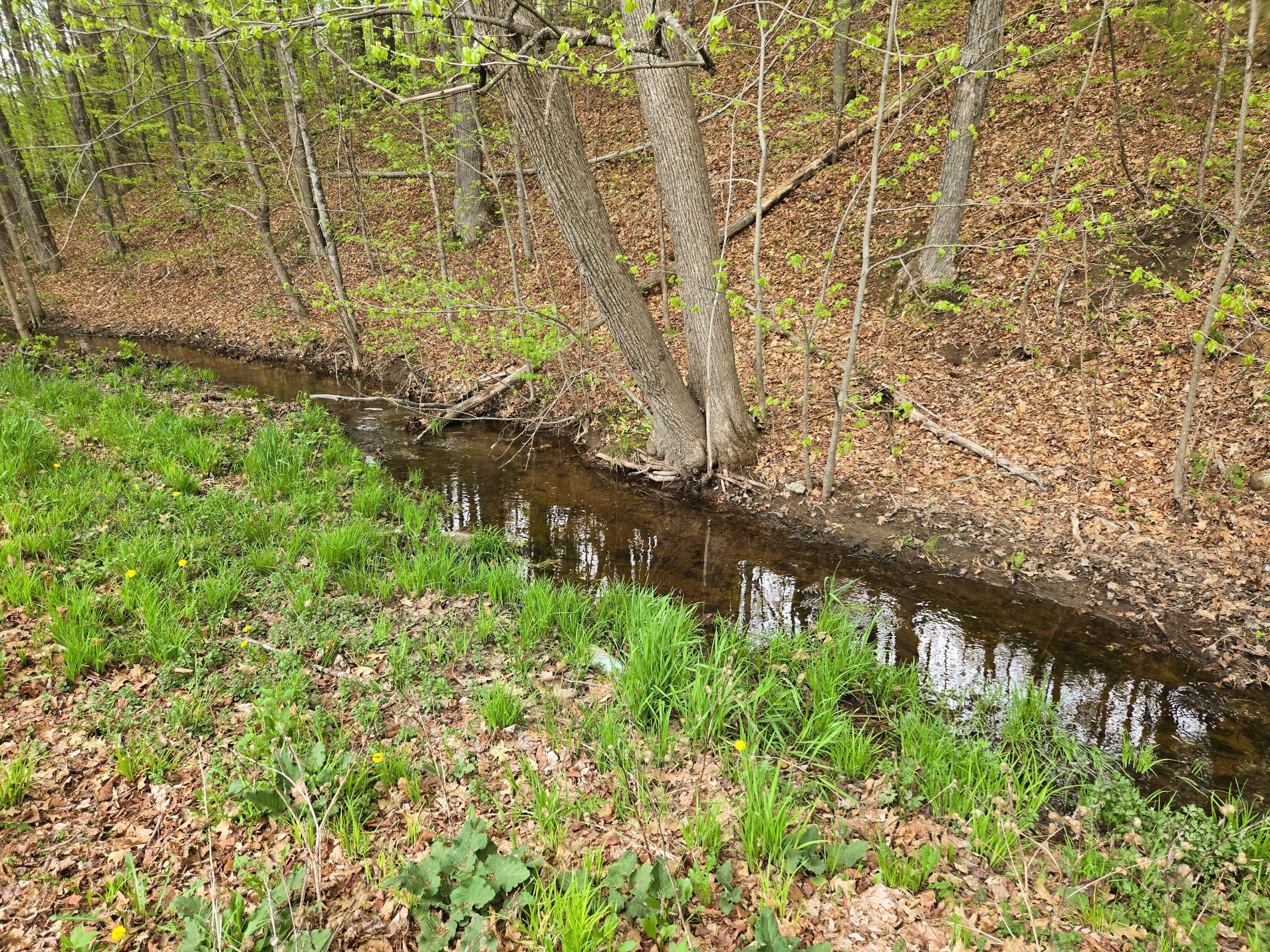 372 River Road Property Photo 18