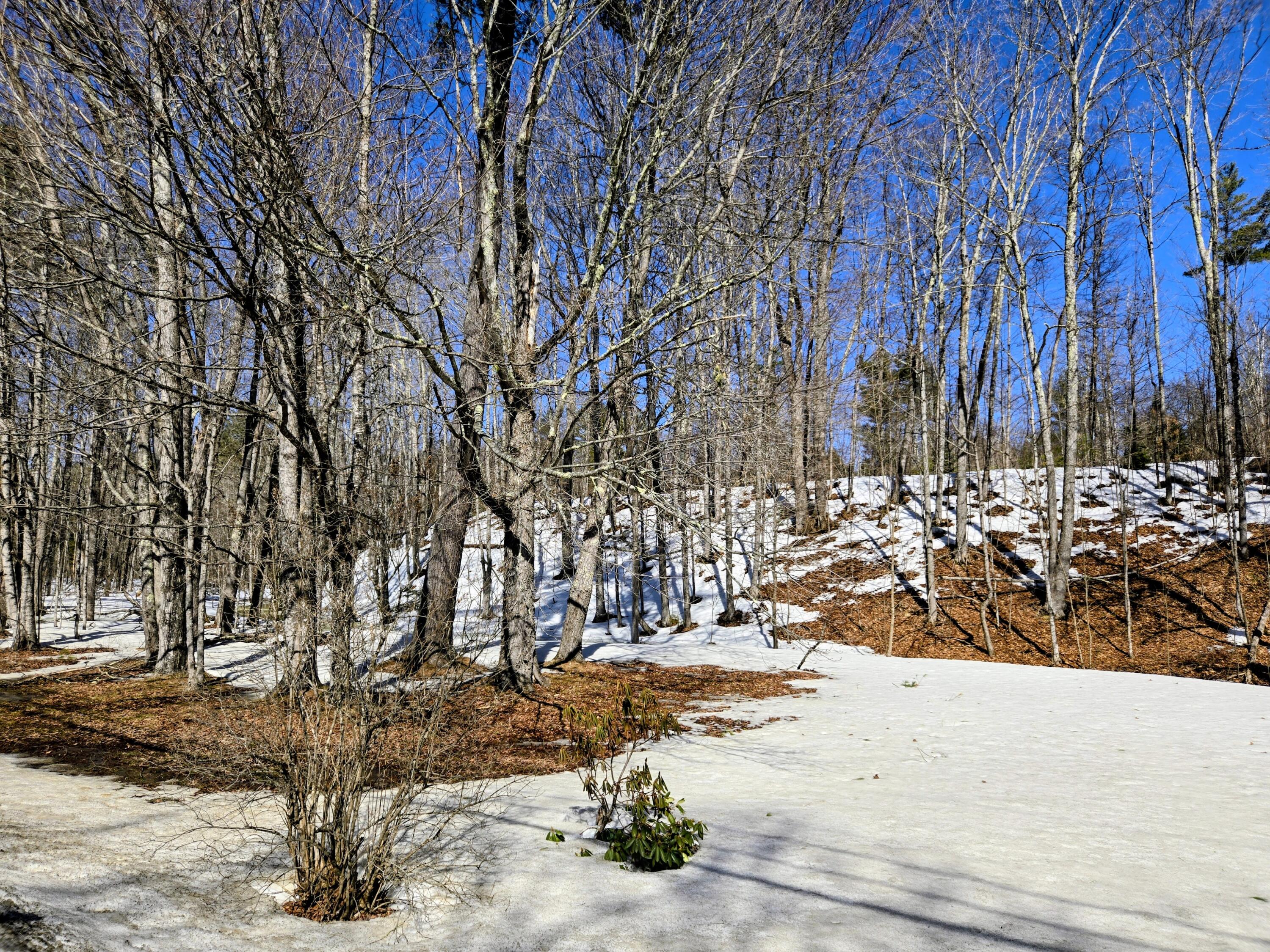372 River Road Property Photo 41