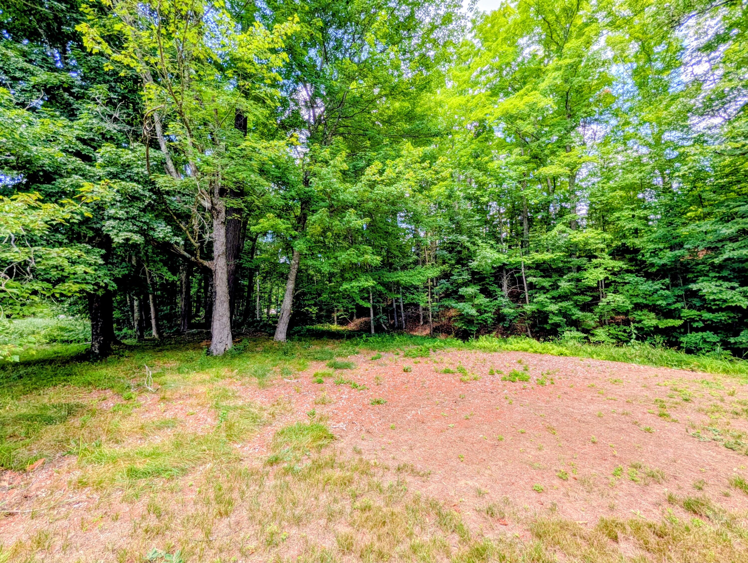 372 River Road Property Photo 78
