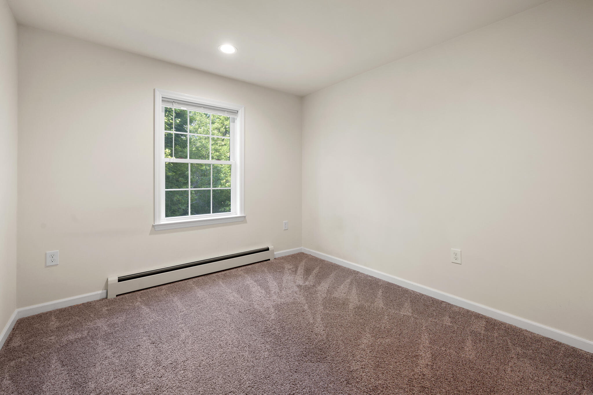48 Peters Street Property Photo 13