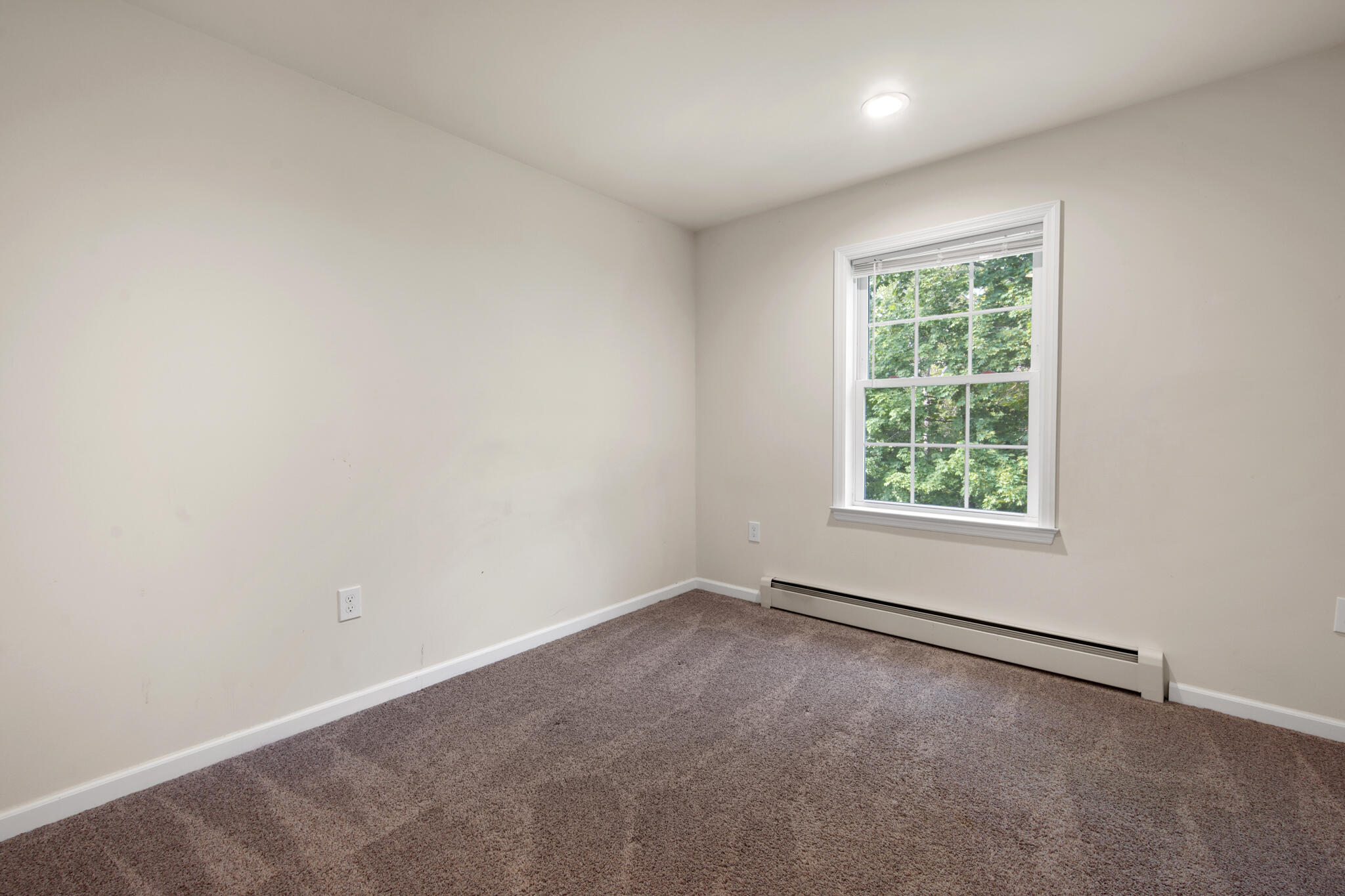 48 Peters Street Property Photo 15
