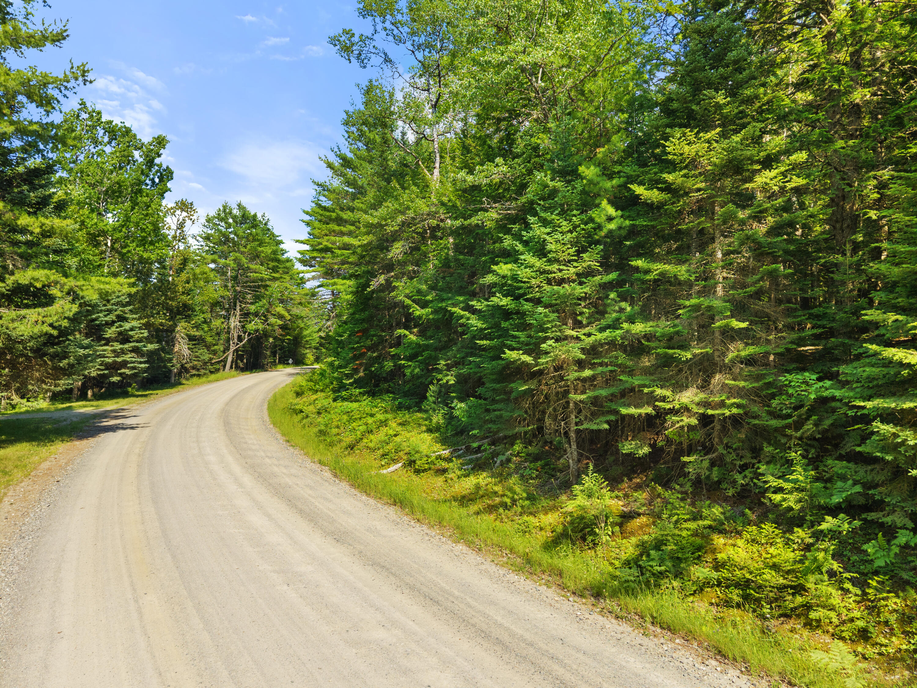 01-lot 26 County Road Property Photo 2