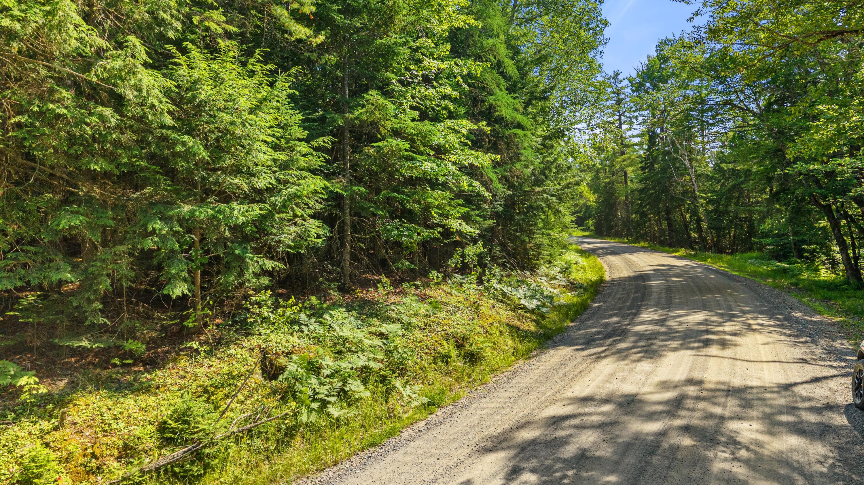 01-lot 26 County Road Property Photo 3