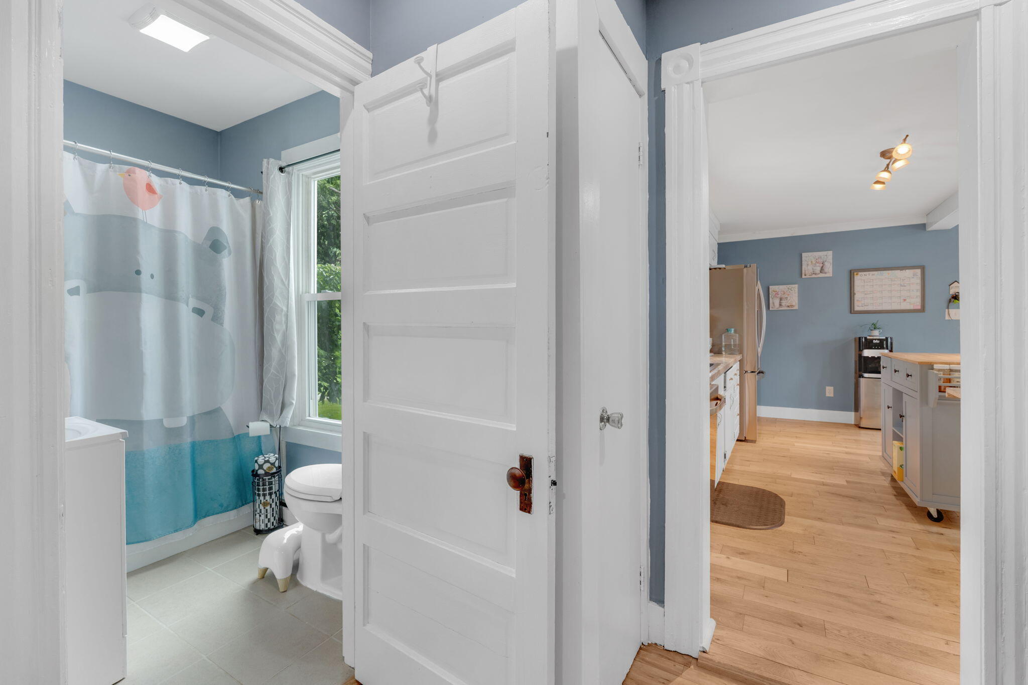 59 Park Street Property Photo 18
