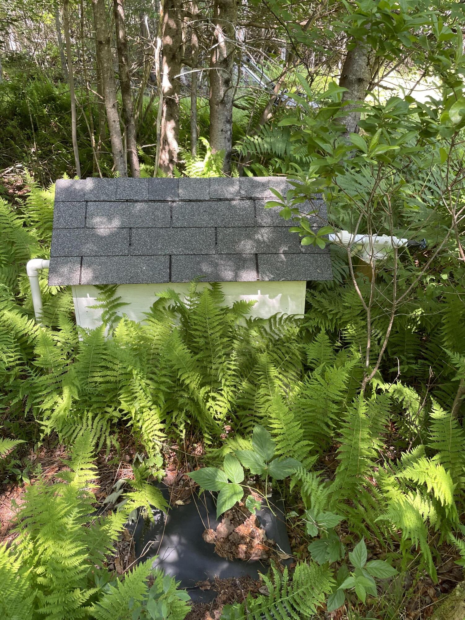 9 Ferry Road Property Photo 6