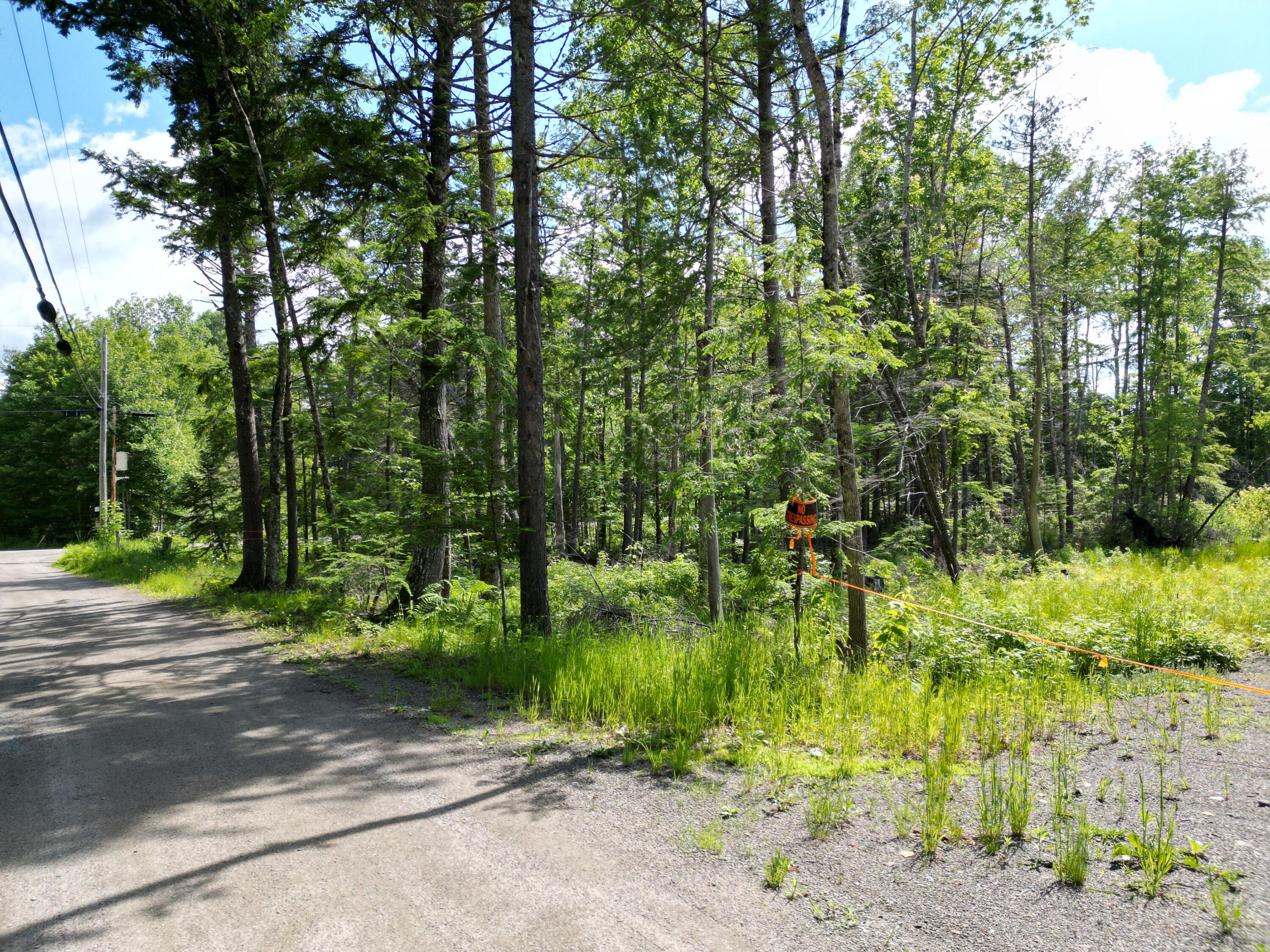 7 Flanders Drive Property Photo 5