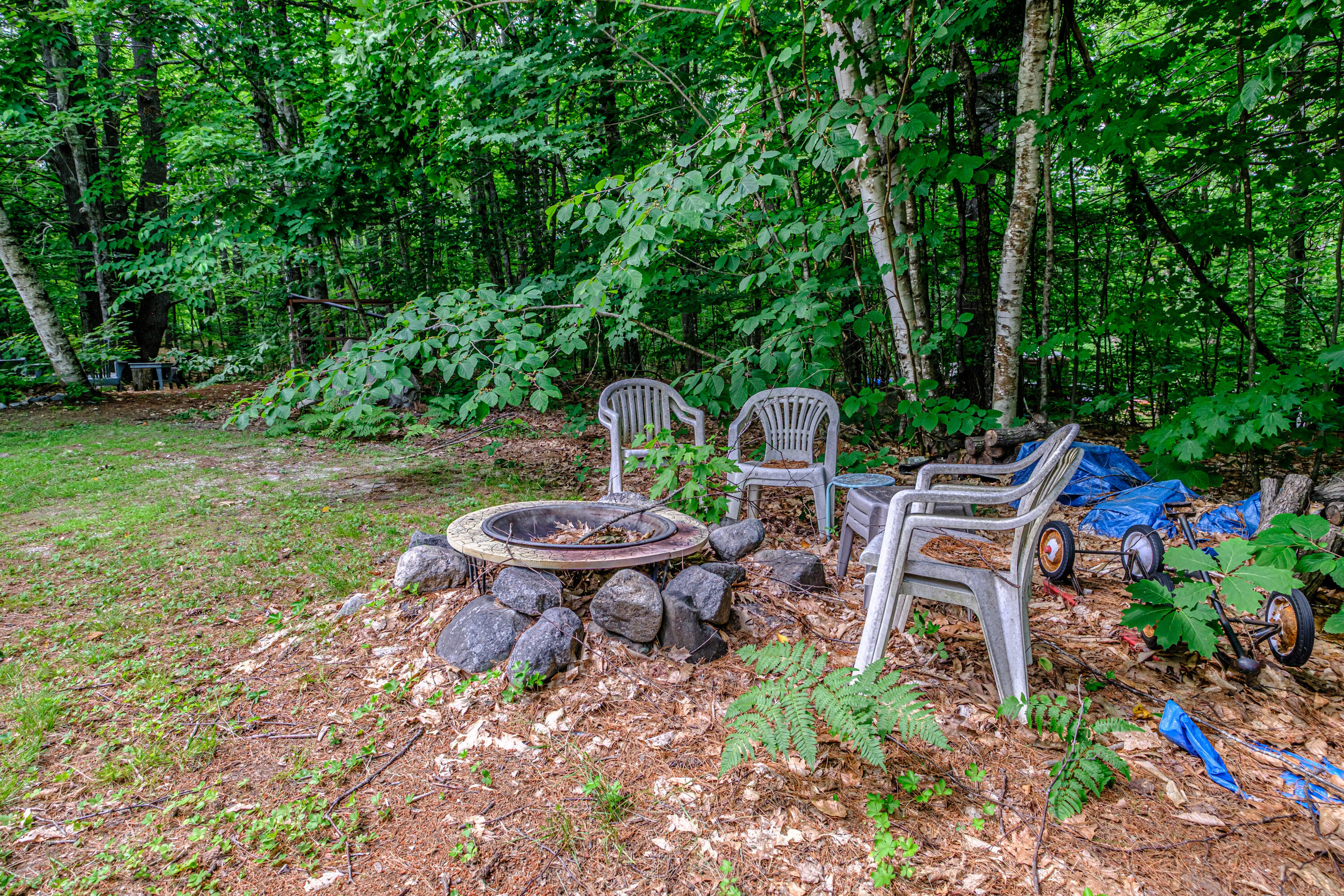 5 Donna Avenue Property Photo 55