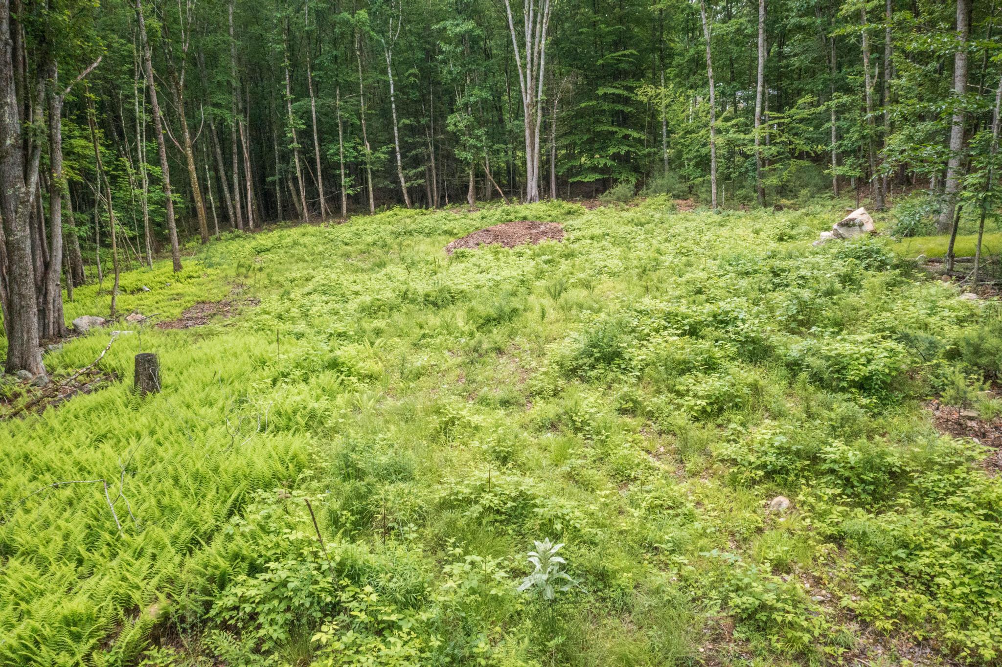 Lot 5 Stonecrop Farm Lane Property Photo 1