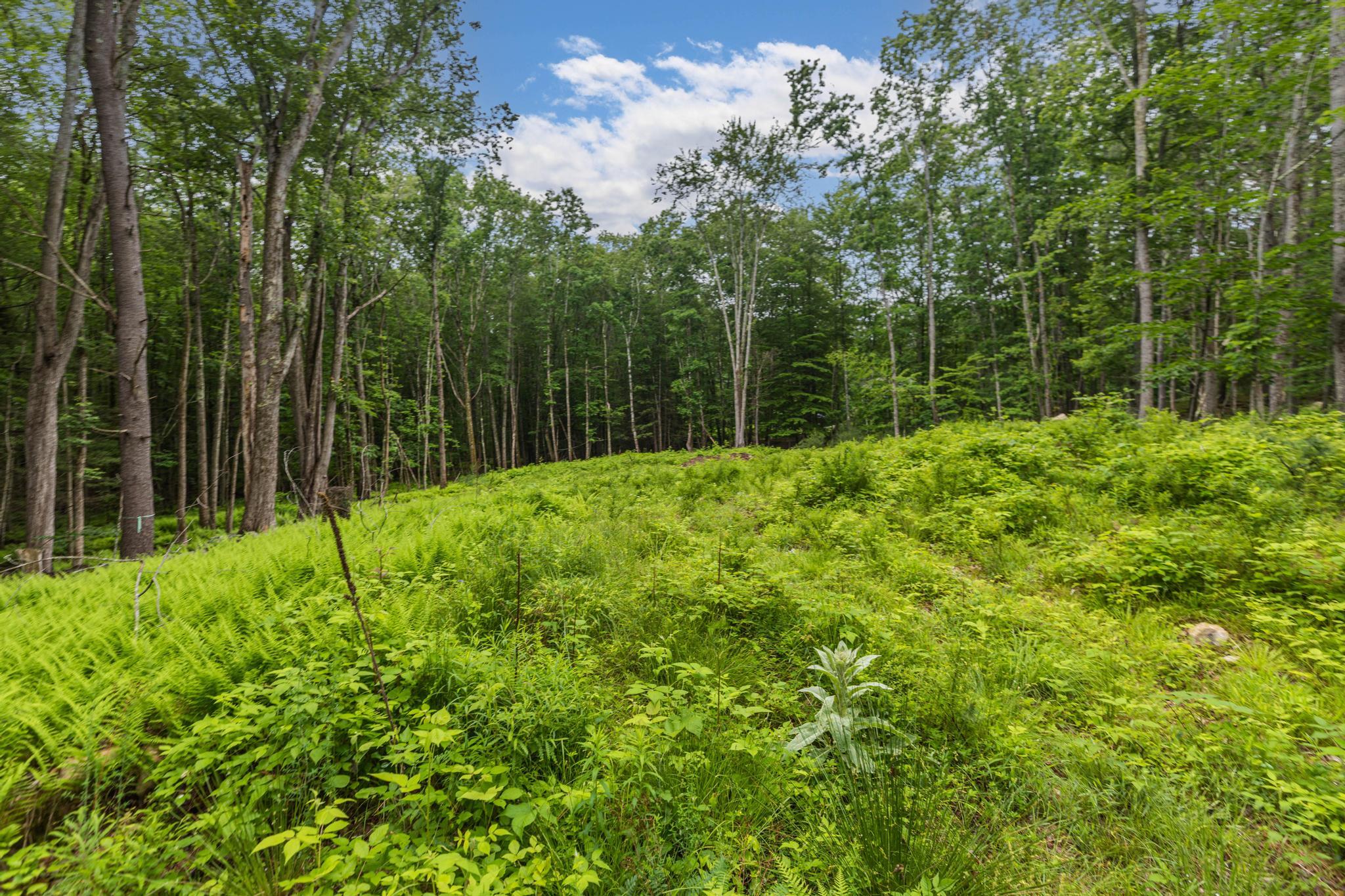 Lot 5 Stonecrop Farm Lane Property Photo 5