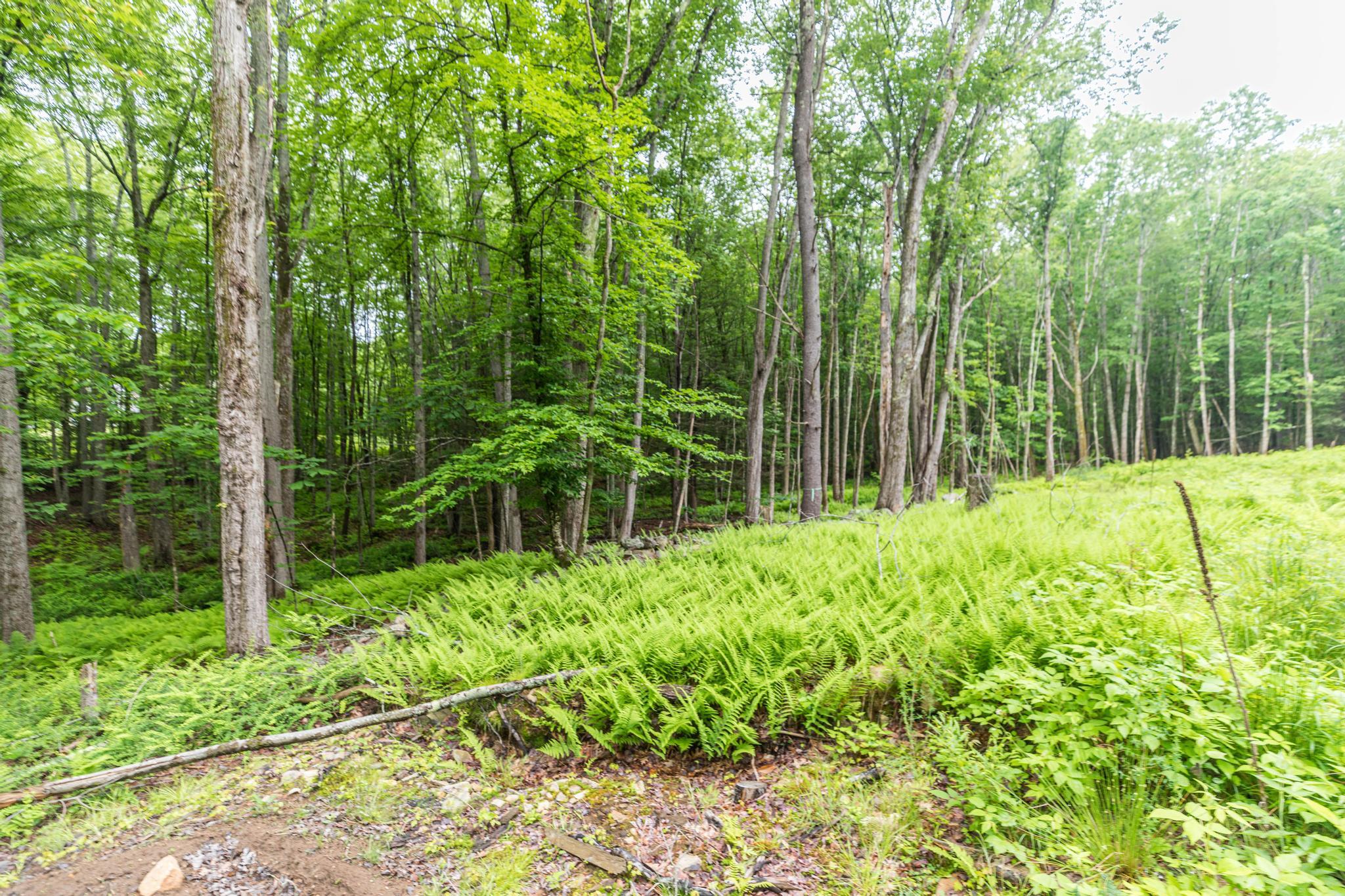 Lot 5 Stonecrop Farm Lane Property Photo 6