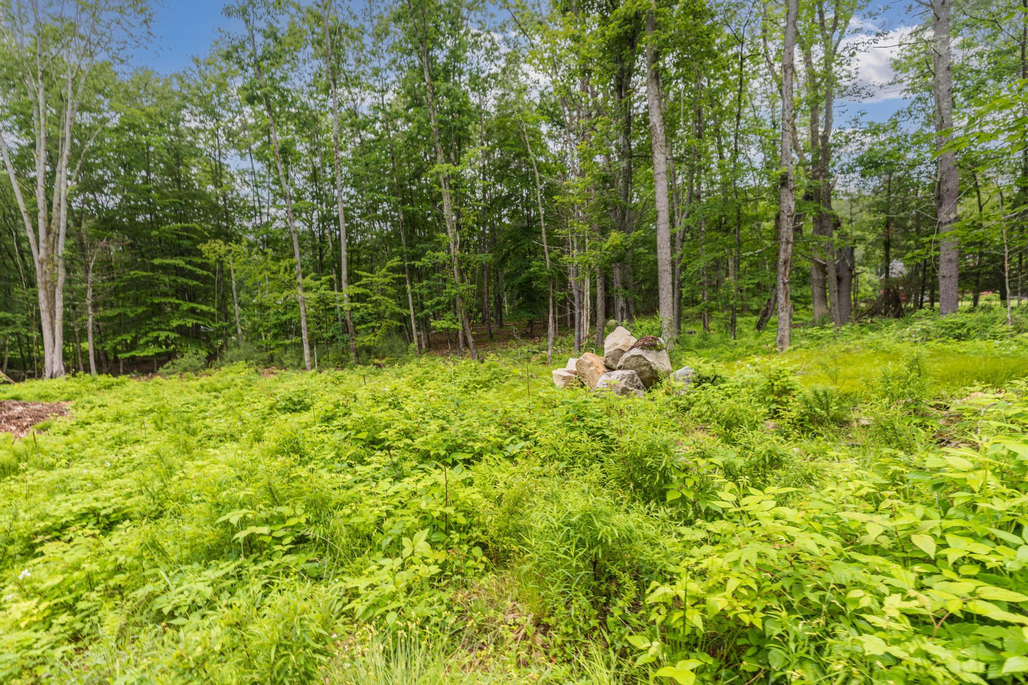 Lot 5 Stonecrop Farm Lane Property Photo 7