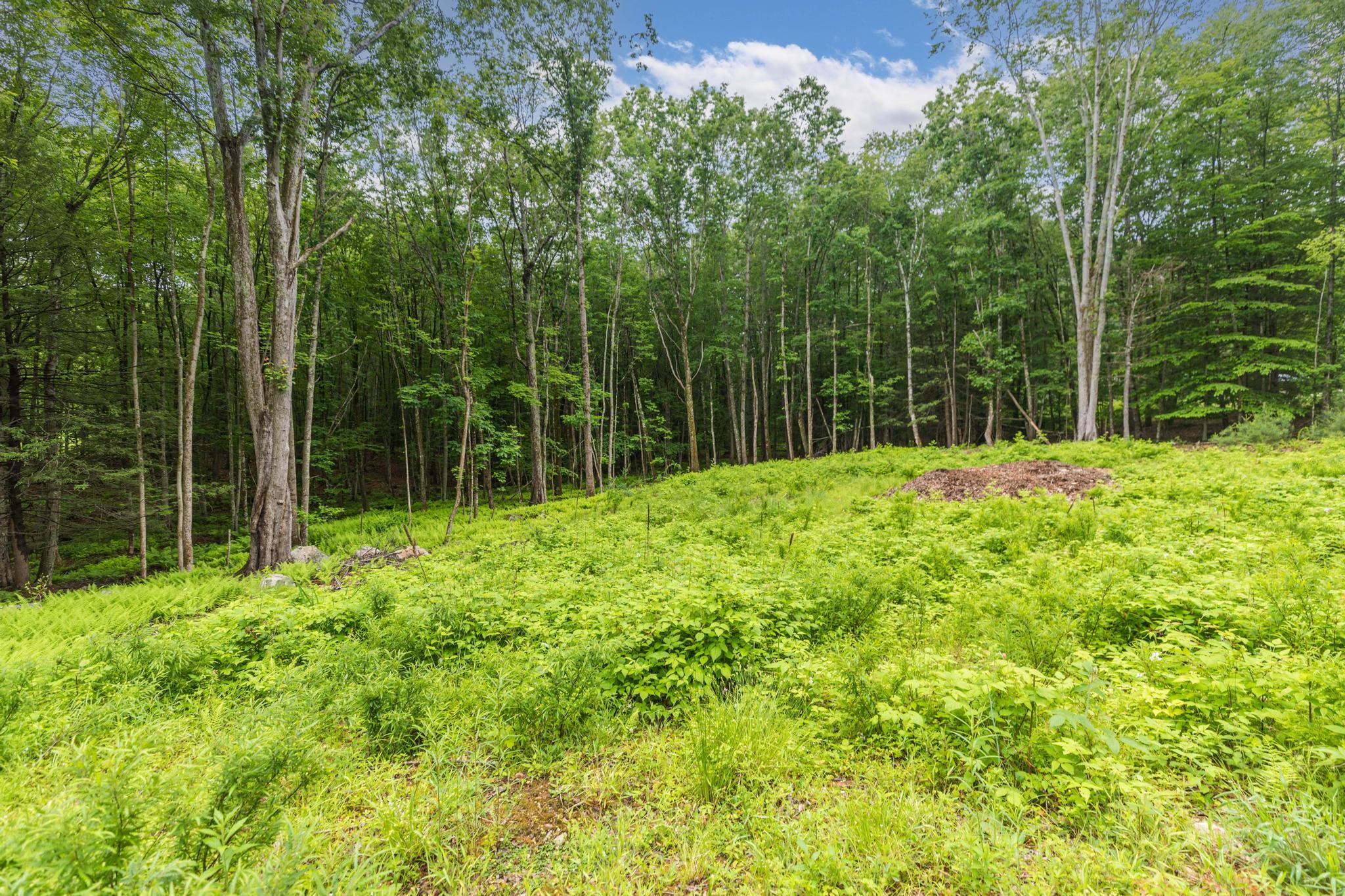 Lot 5 Stonecrop Farm Lane Property Photo 8