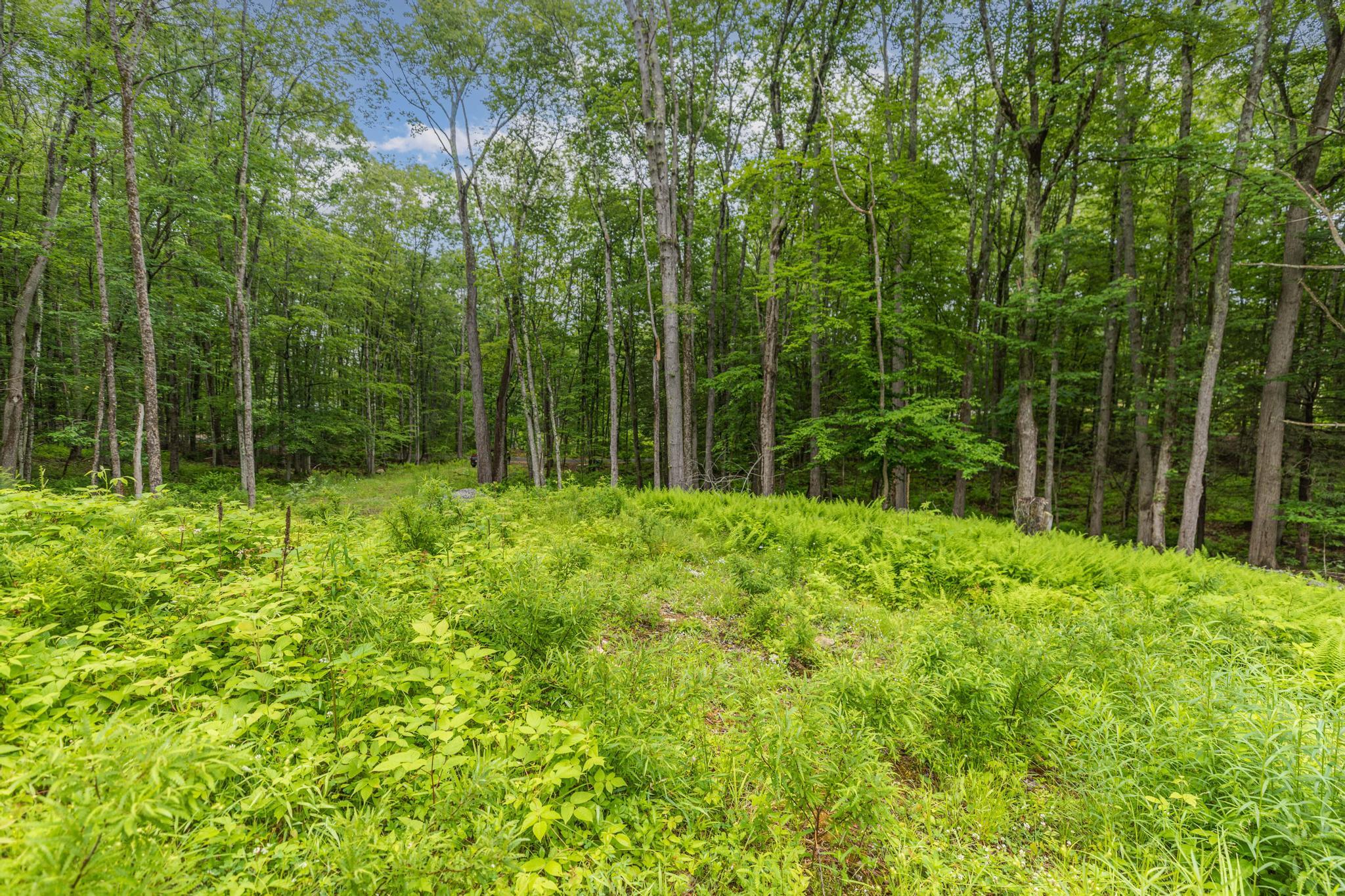 Lot 5 Stonecrop Farm Lane Property Photo 9