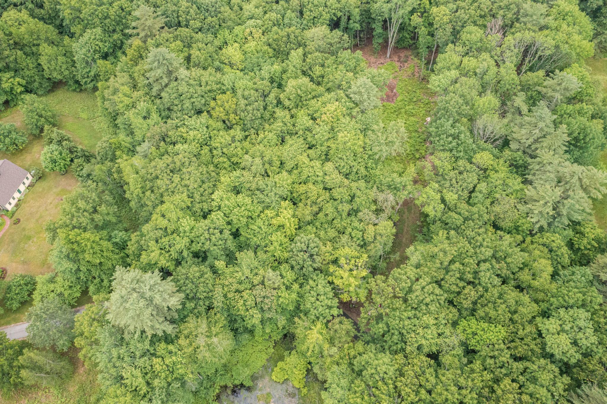 Lot 5 Stonecrop Farm Lane Property Photo 24