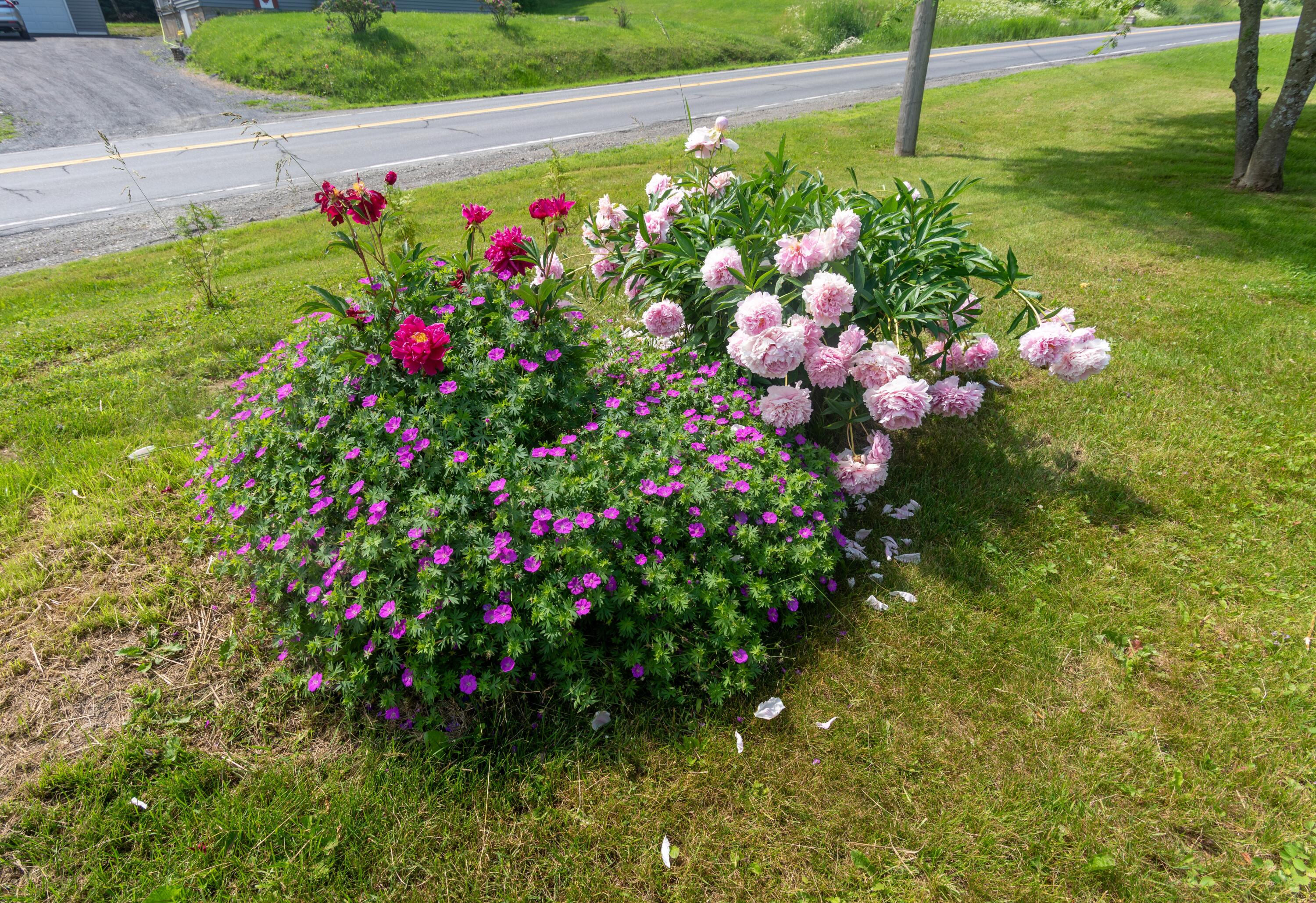 32 Us Route 1 Property Photo 17