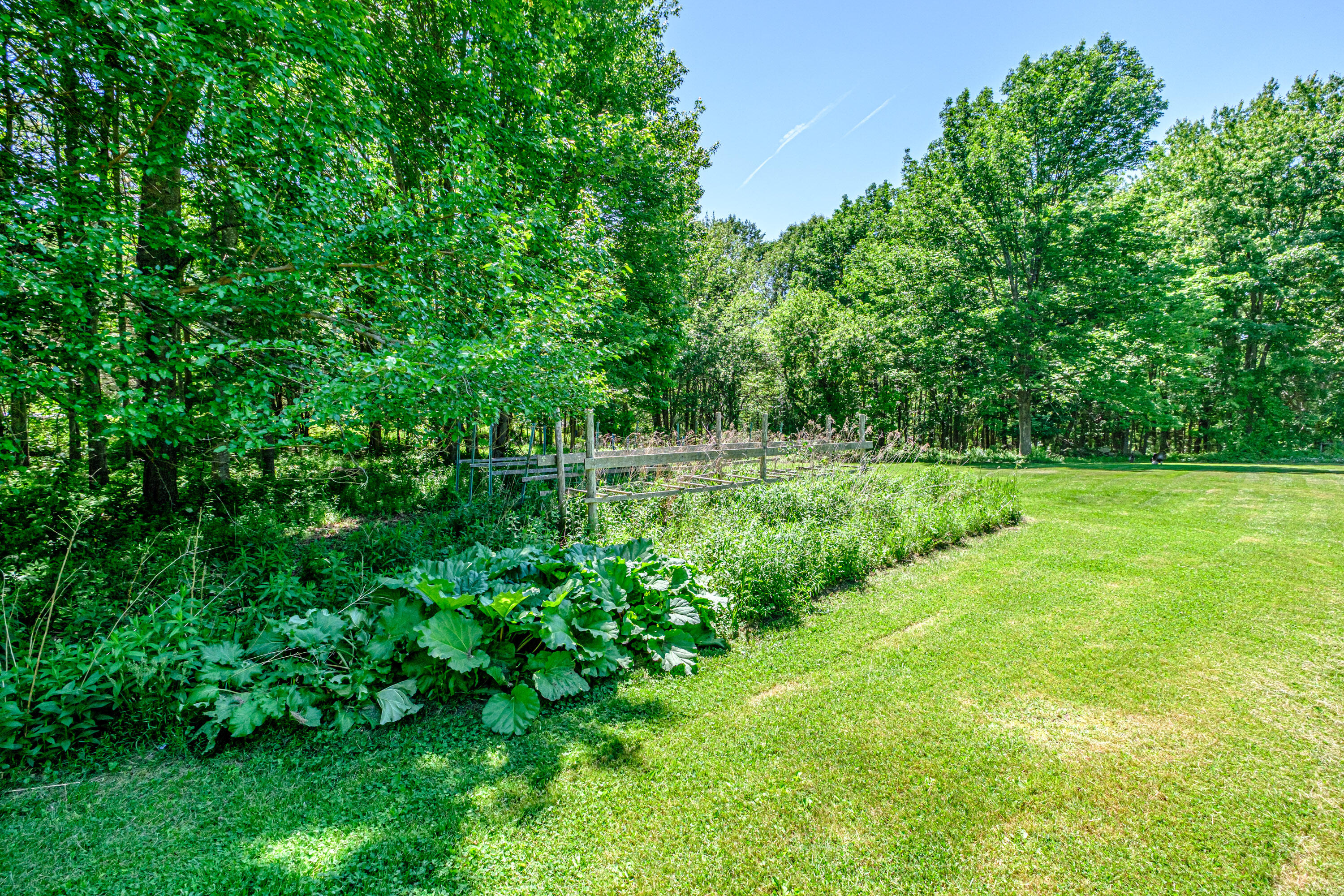 259 Hardy Road Property Photo 14