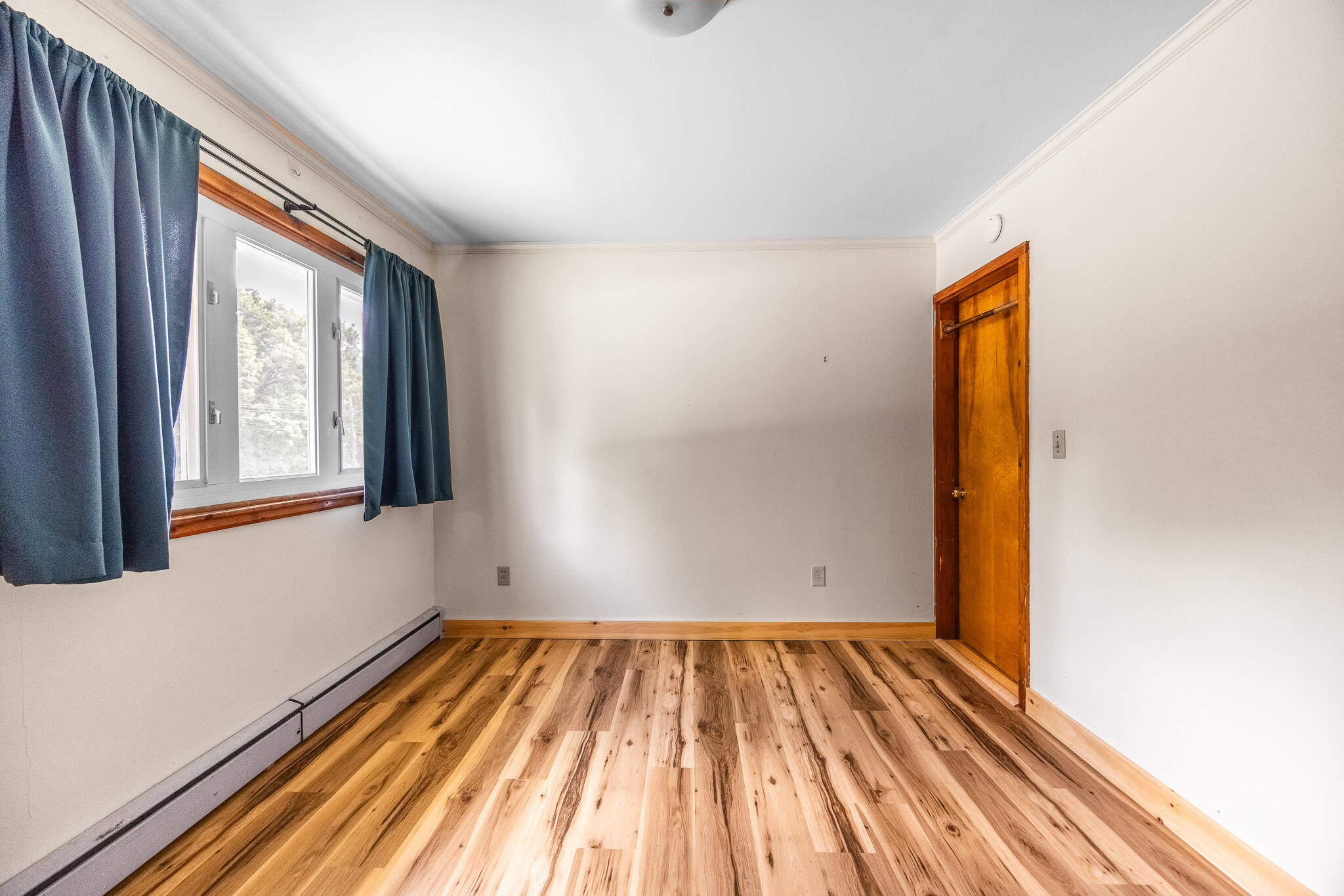 2 Averill Street Property Photo 17
