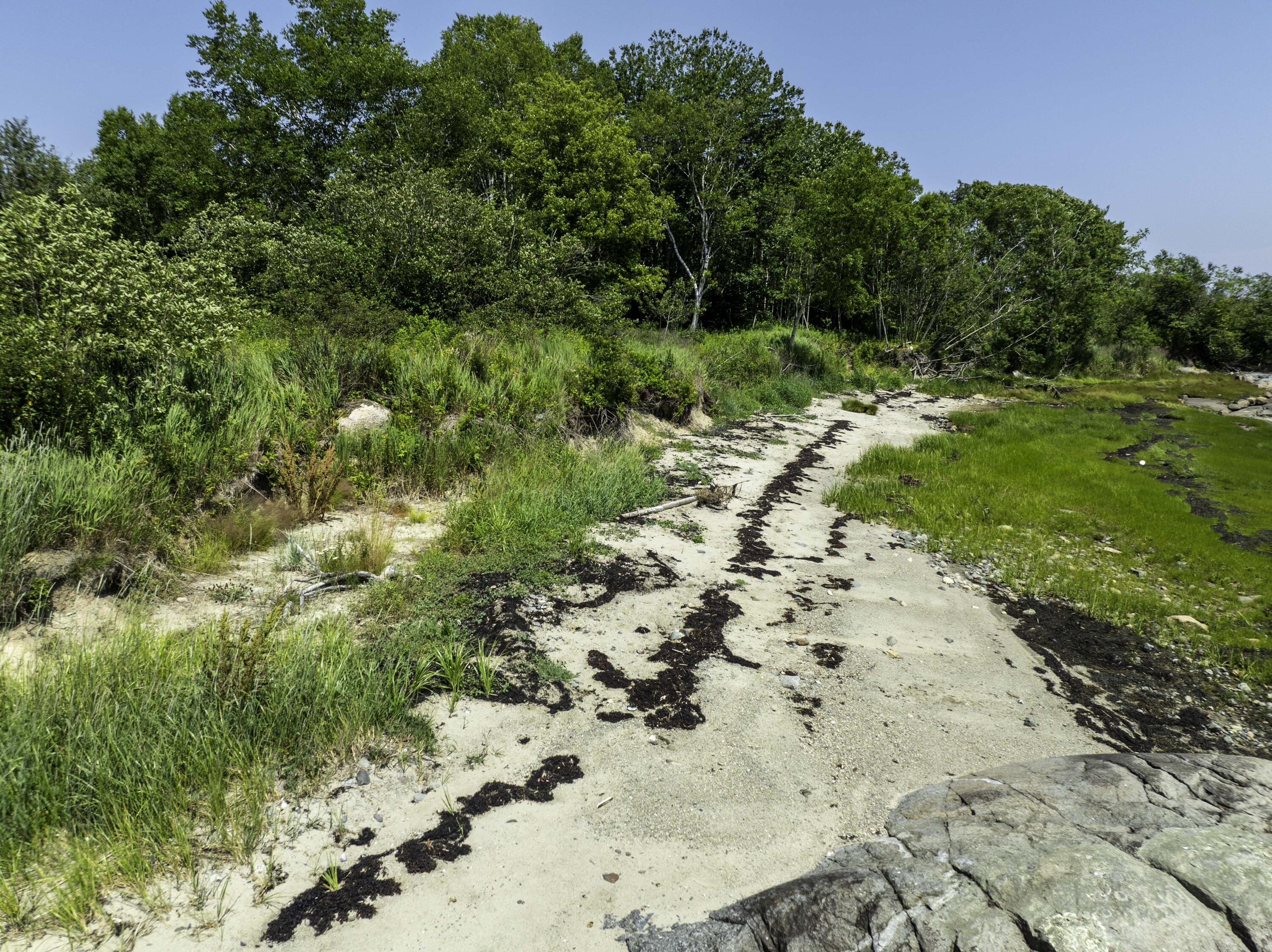 Lot43+45 Reynolds Lane Property Photo 18