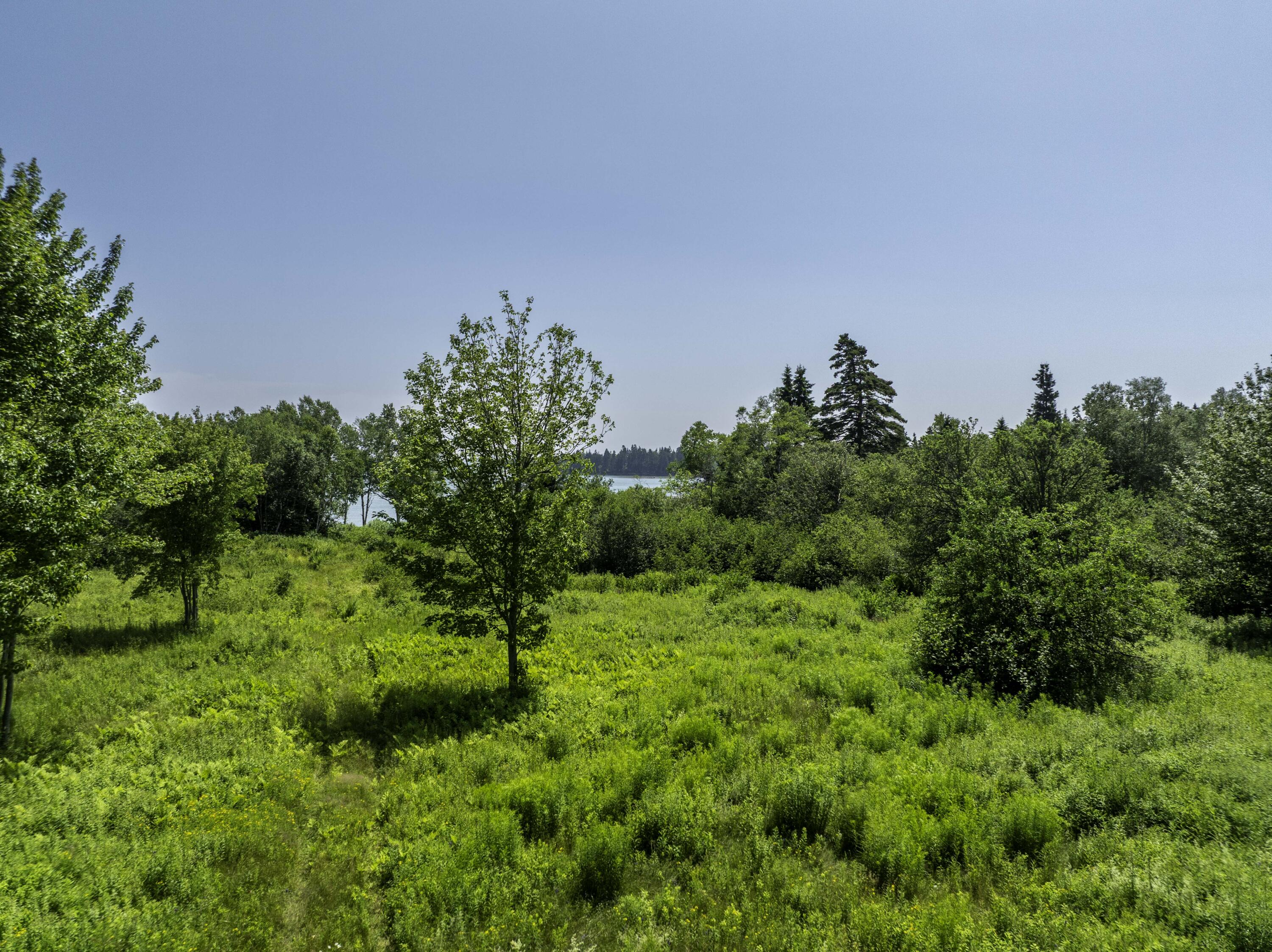 Lot43+45 Reynolds Lane Property Photo 26