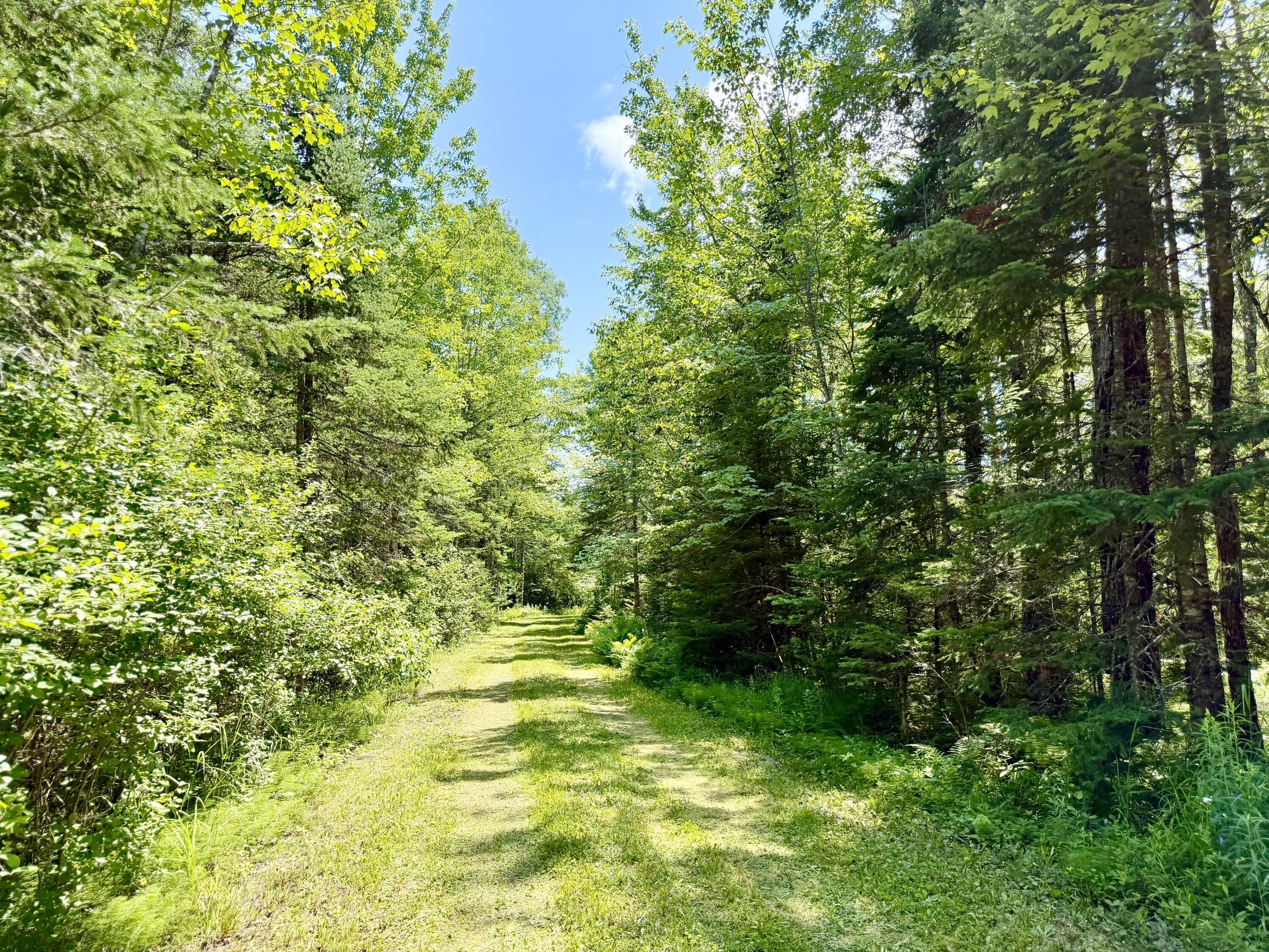 1053 Hudson Hill Road Property Photo 11