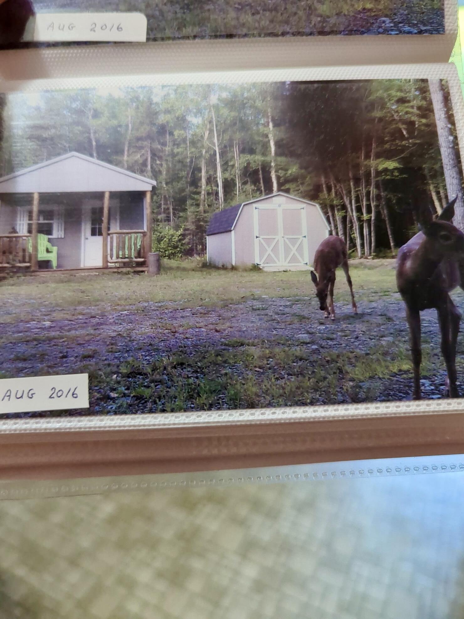 1053 Hudson Hill Road Property Photo 67