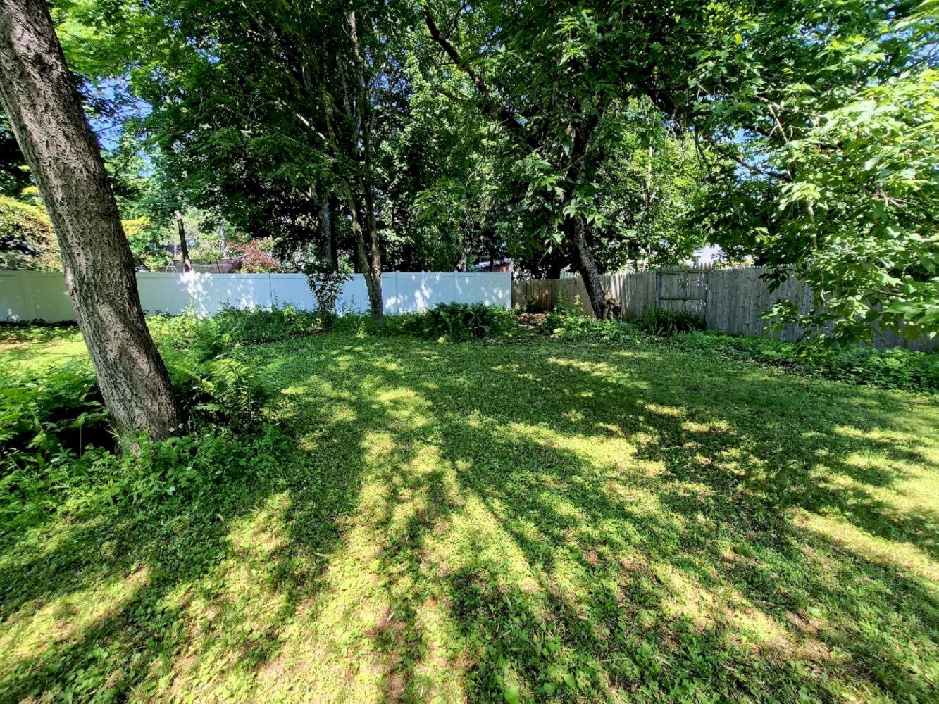 113 Greenwood Avenue Property Photo 56