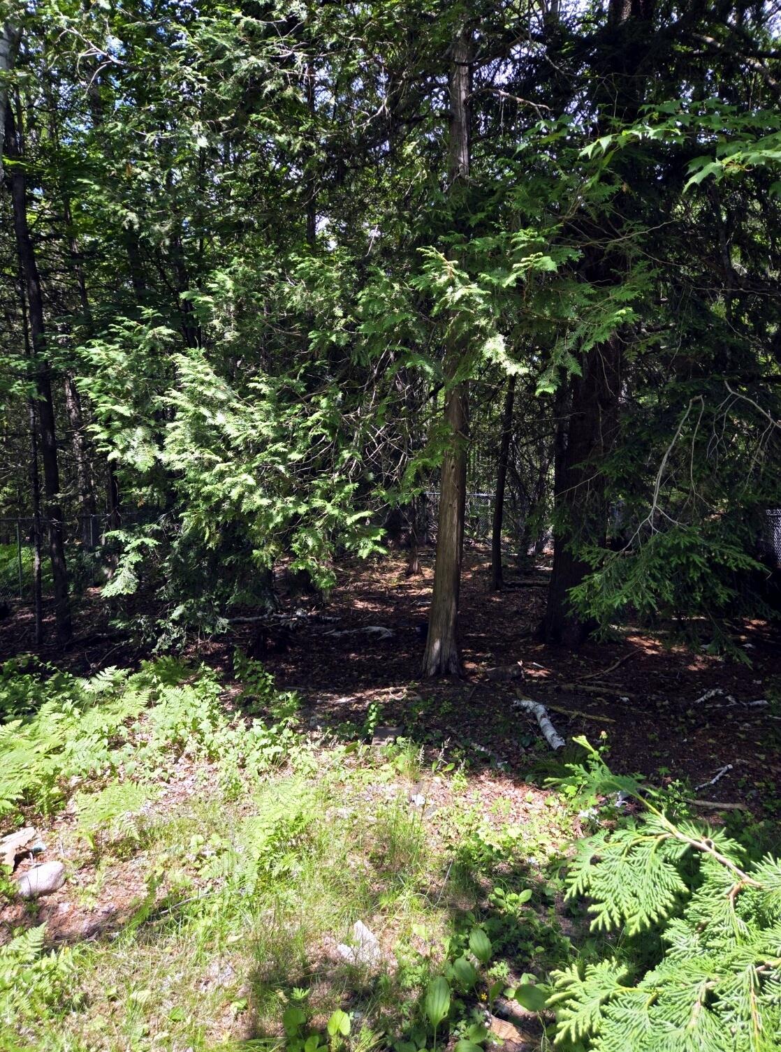 123 Cedar Street Property Photo 14