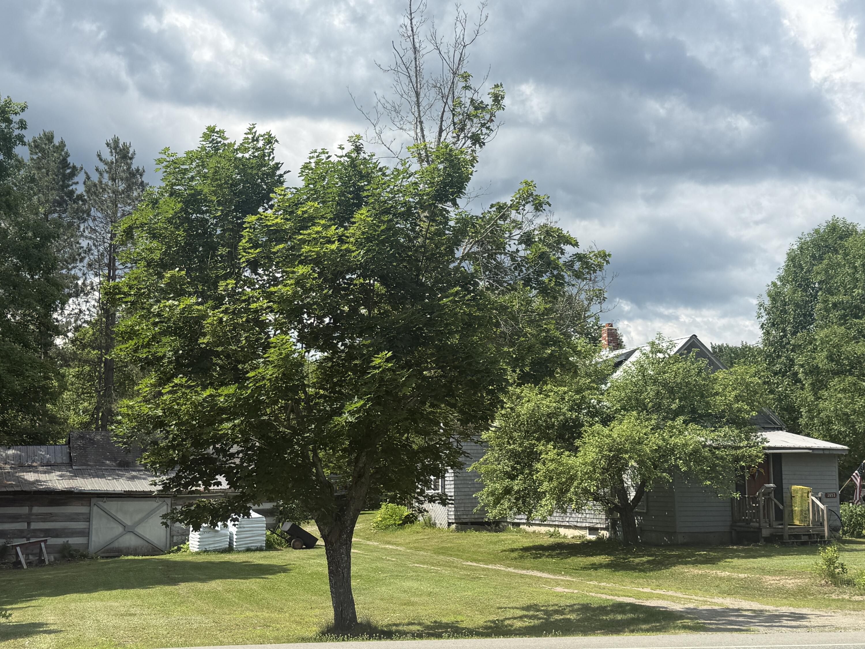 2653 Lee Road Property Photo 2