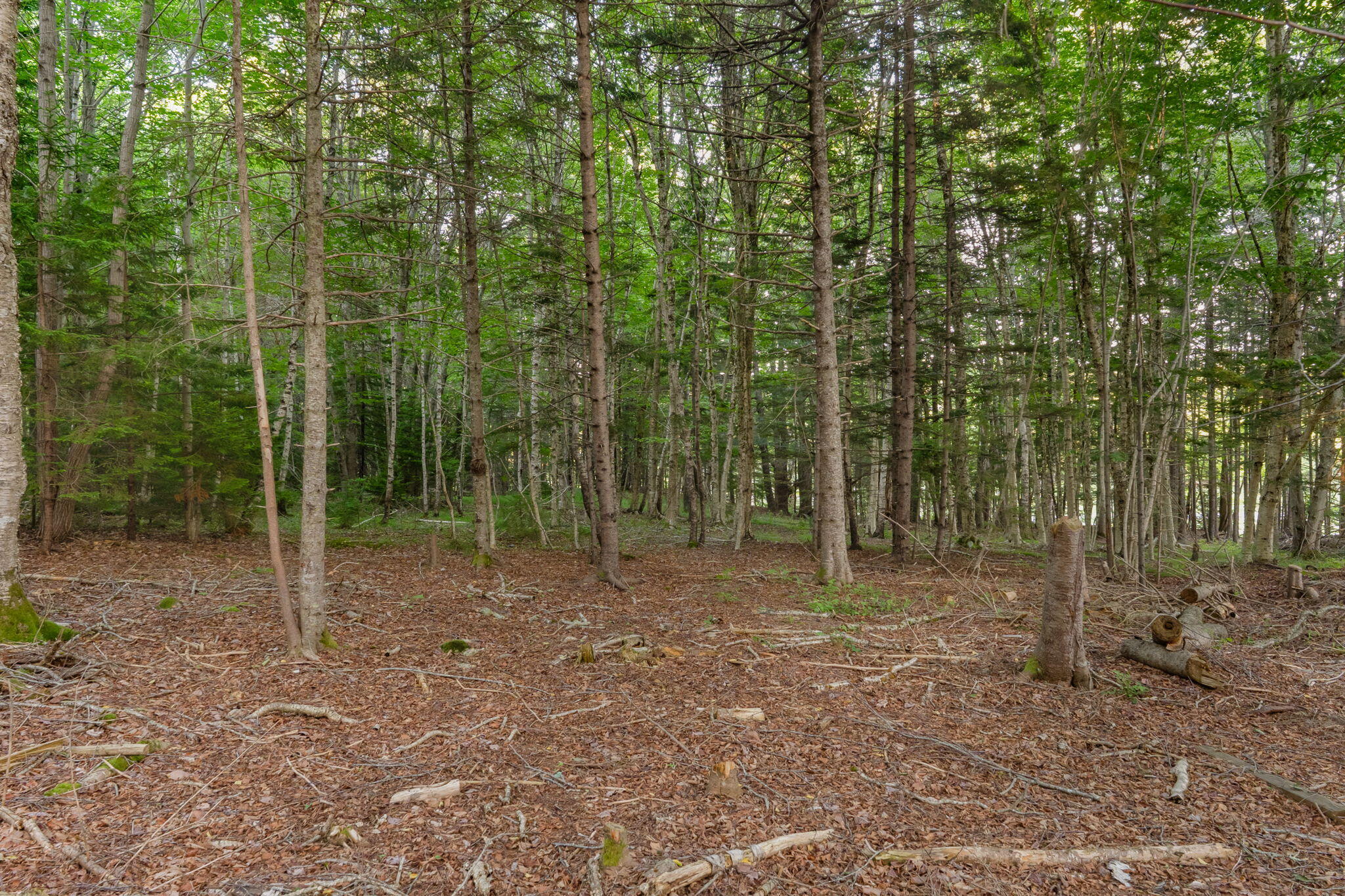 5 Cedar Hill Road Property Photo 59