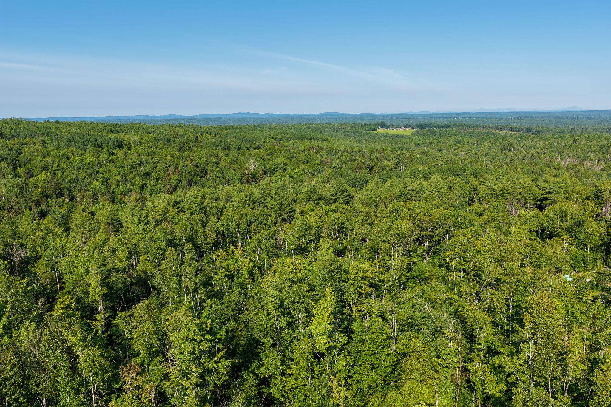 498 Freedom Road Property Photo 4