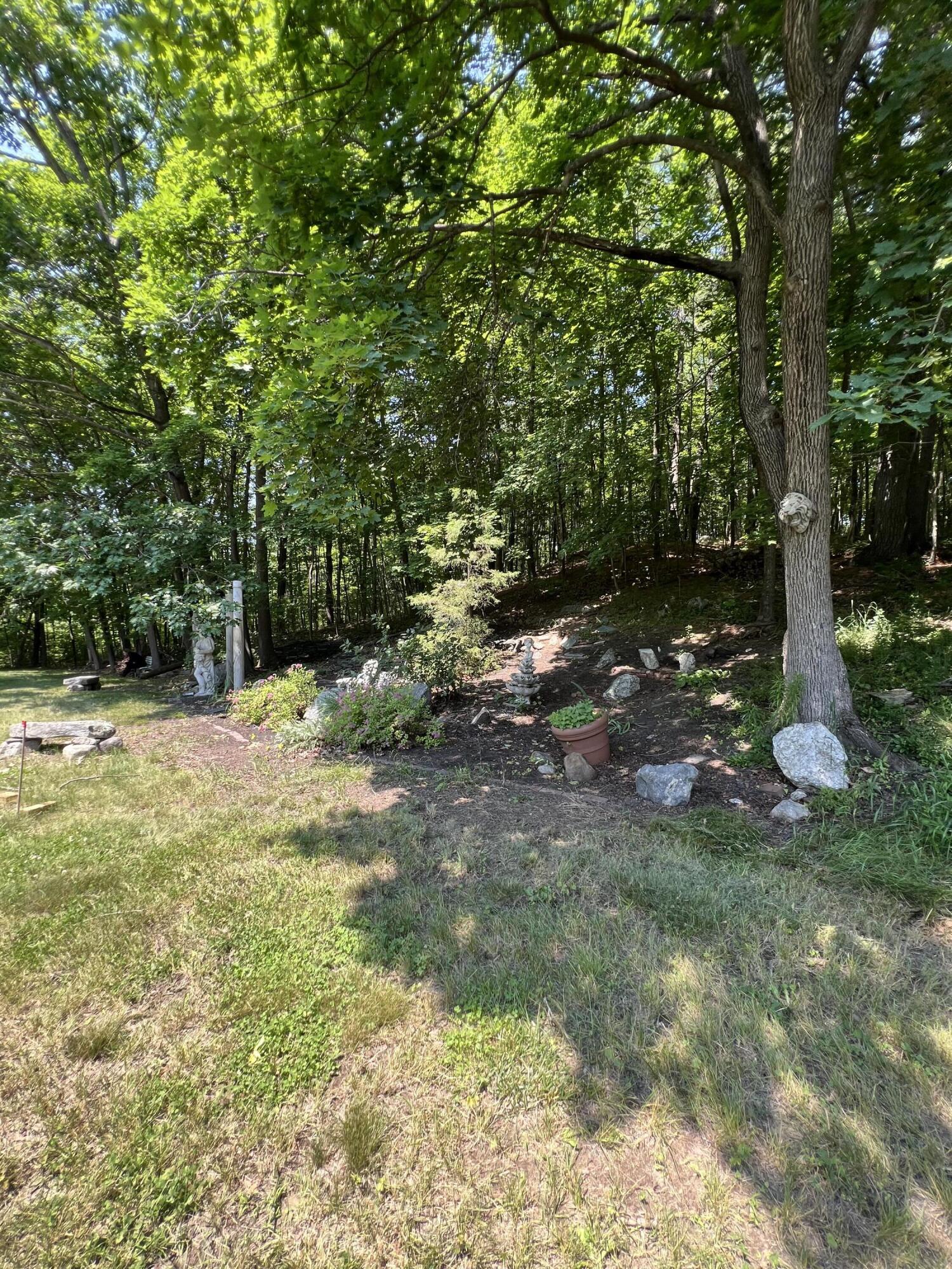 54 Pettingill Street Property Photo 29