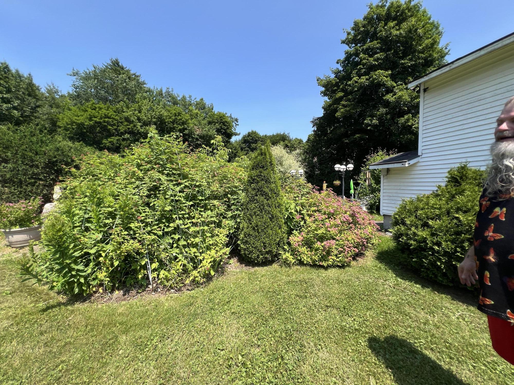 54 Pettingill Street Property Photo 32