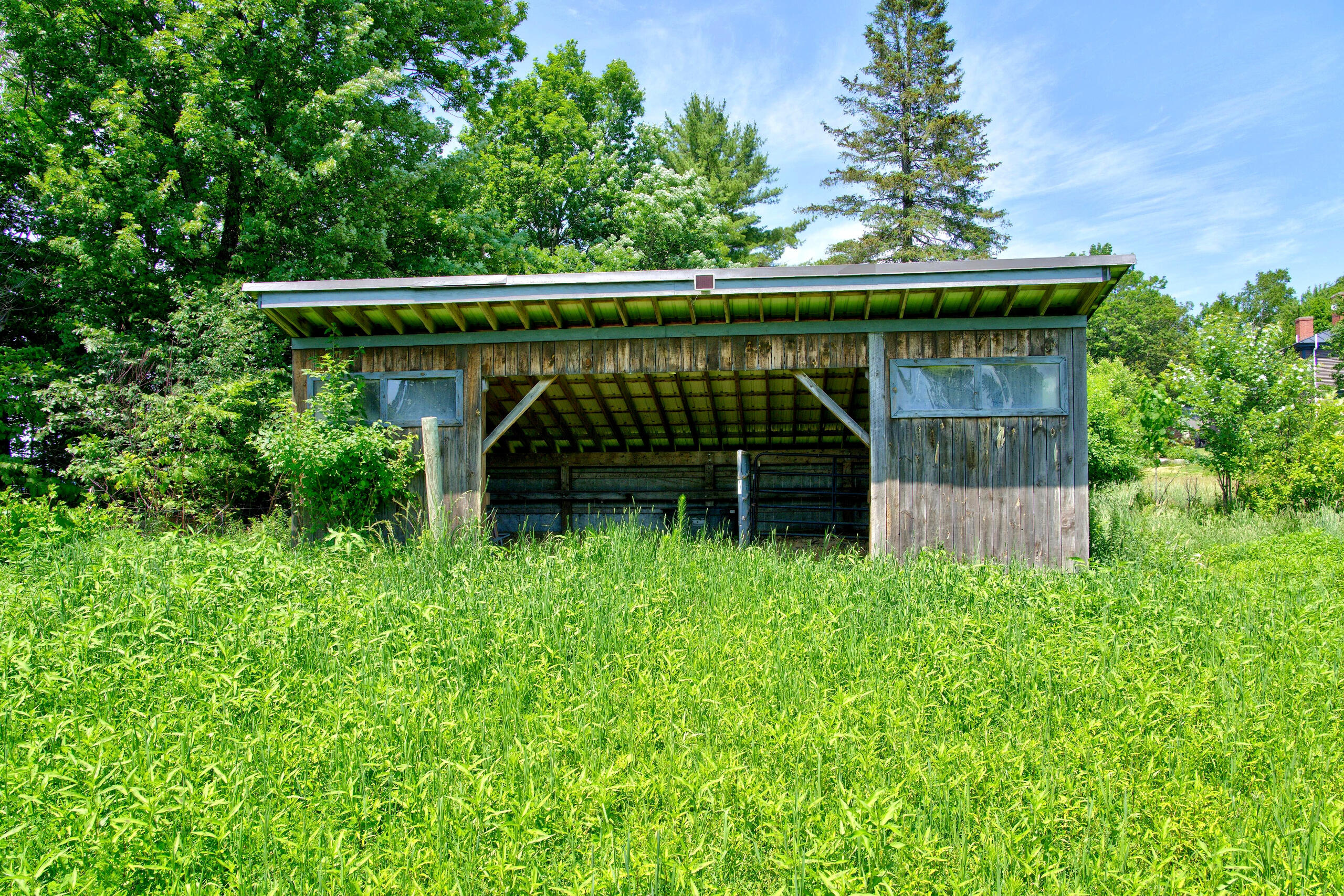 564 Mosher Hill Road Property Photo 82