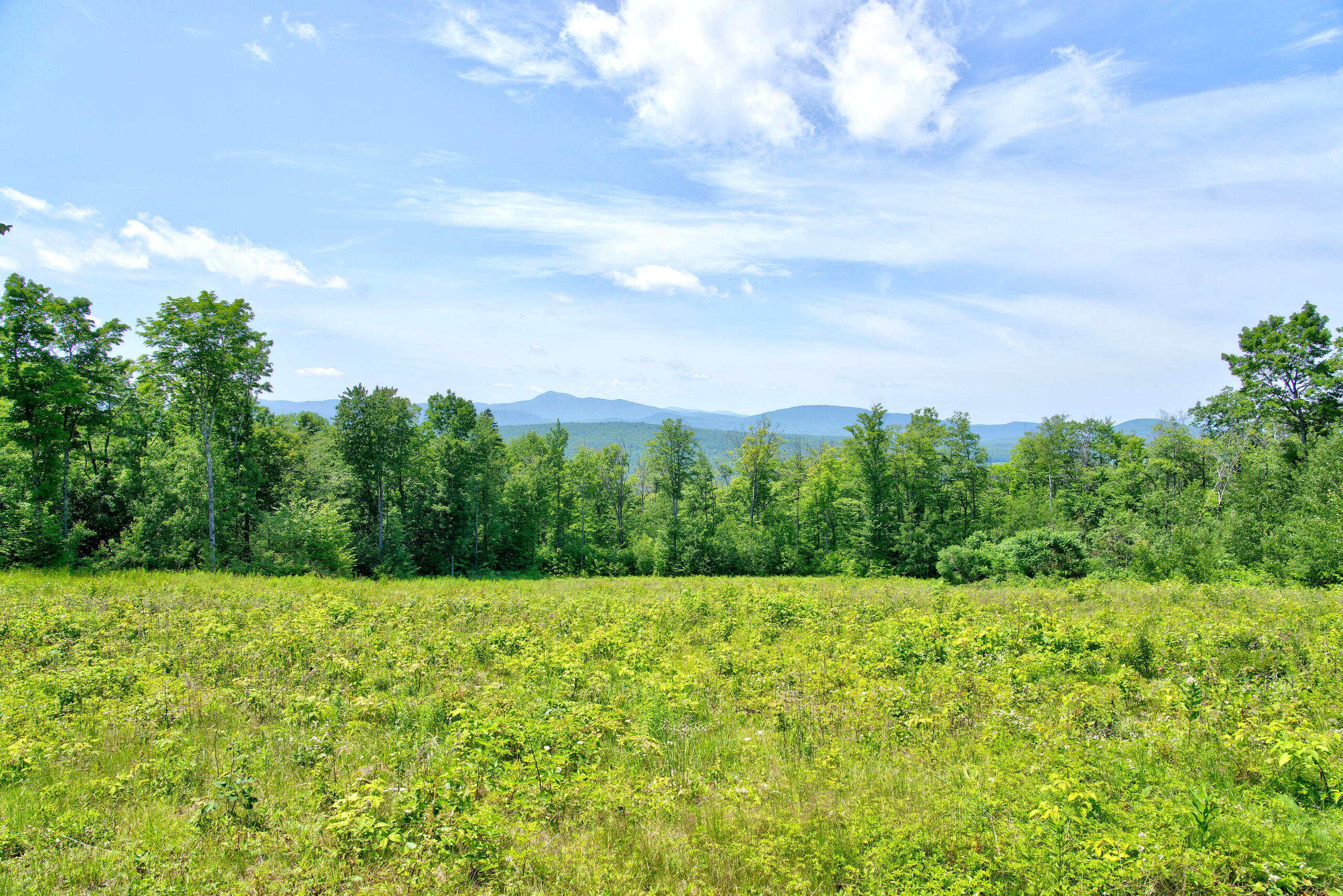 564 Mosher Hill Road Property Photo 85