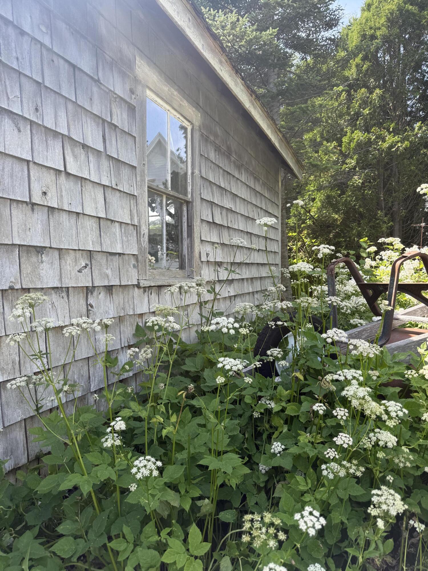 5 Chestnut Street Property Photo 46