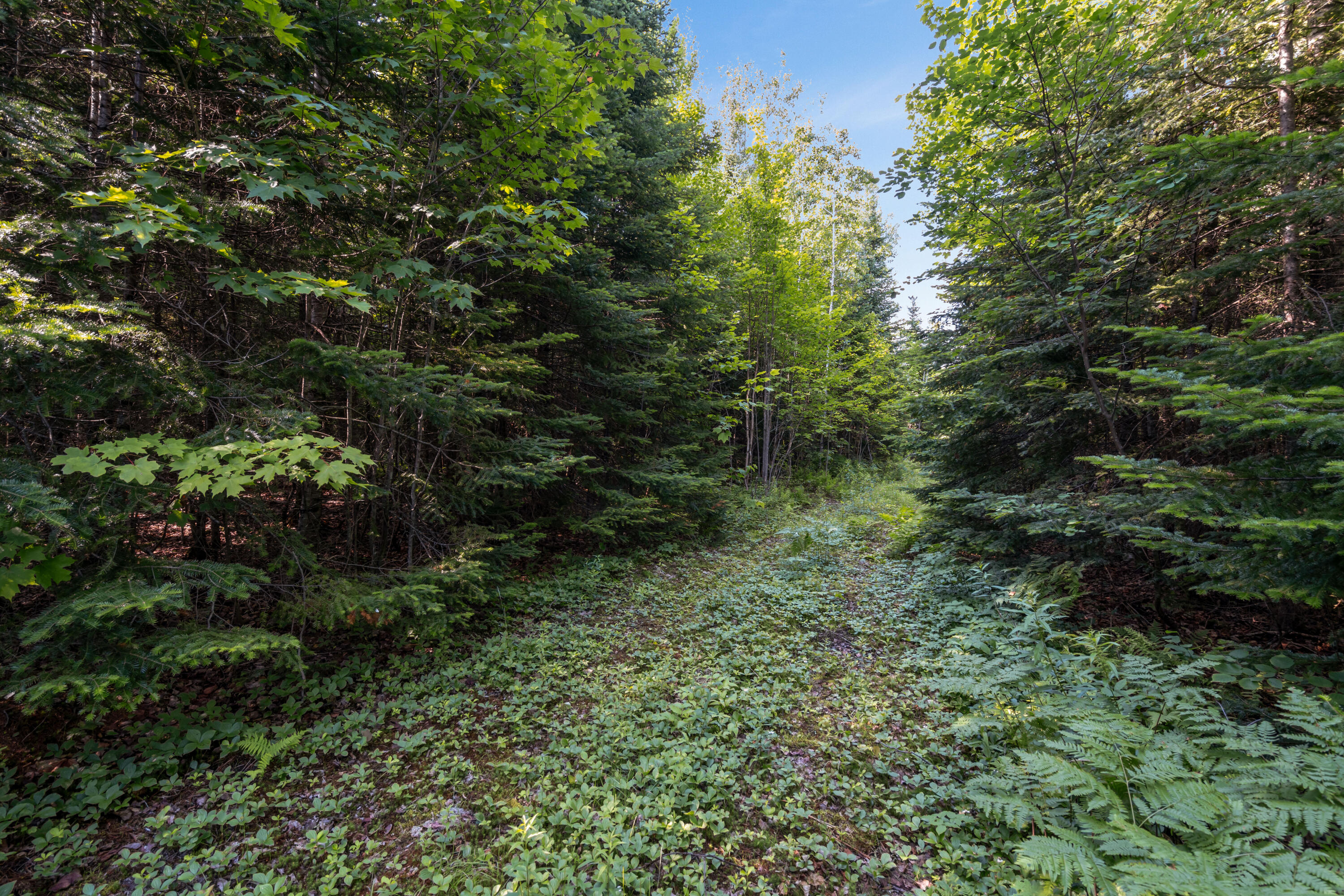 Lot 2- 26 Overlook Drive Property Photo 8