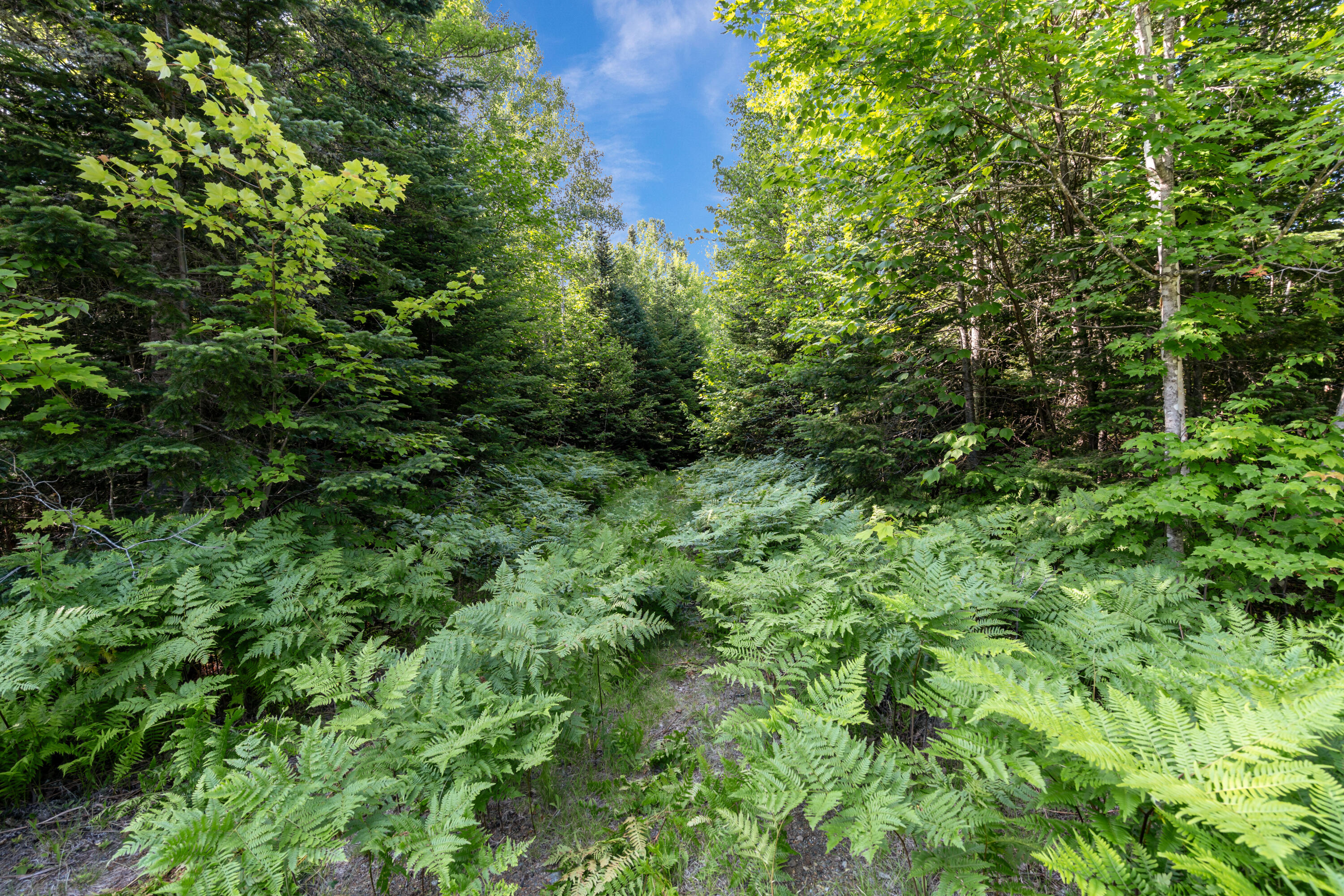 Lot 2- 26 Overlook Drive Property Photo 9