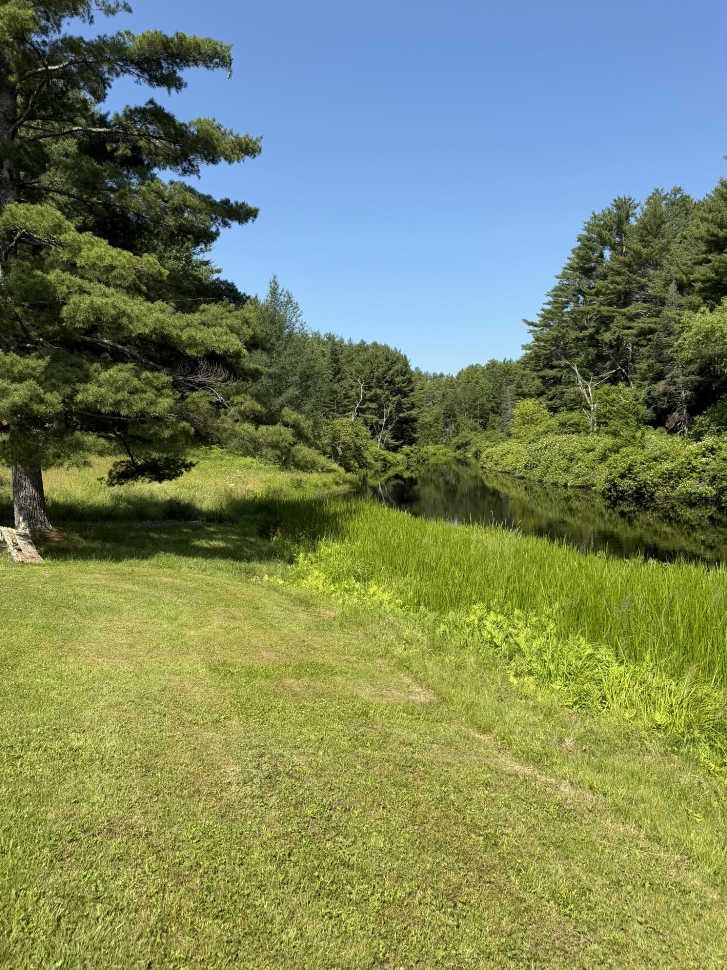1895 Wagner Bridge Road Property Photo 7