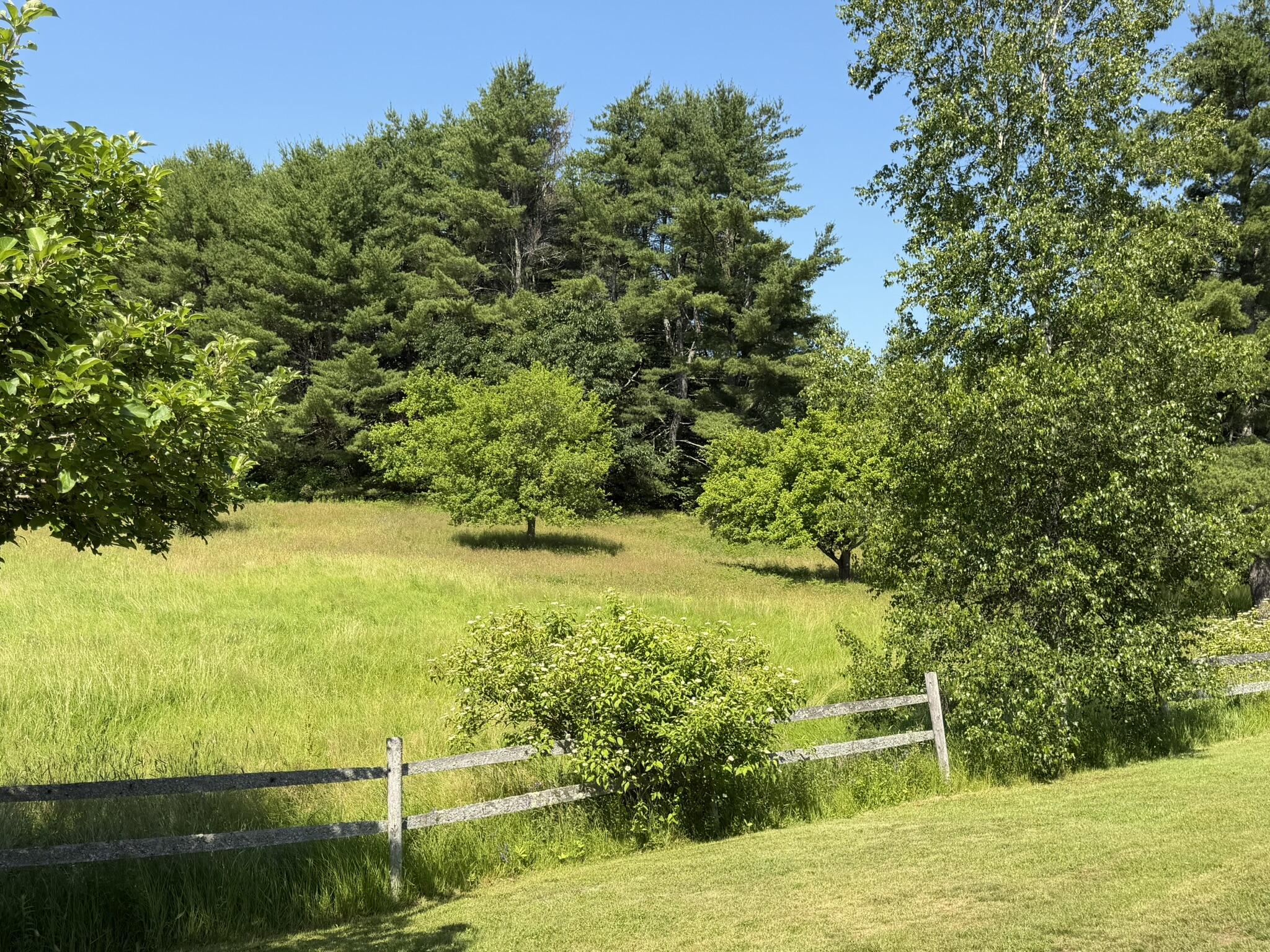 1895 Wagner Bridge Road Property Photo 15