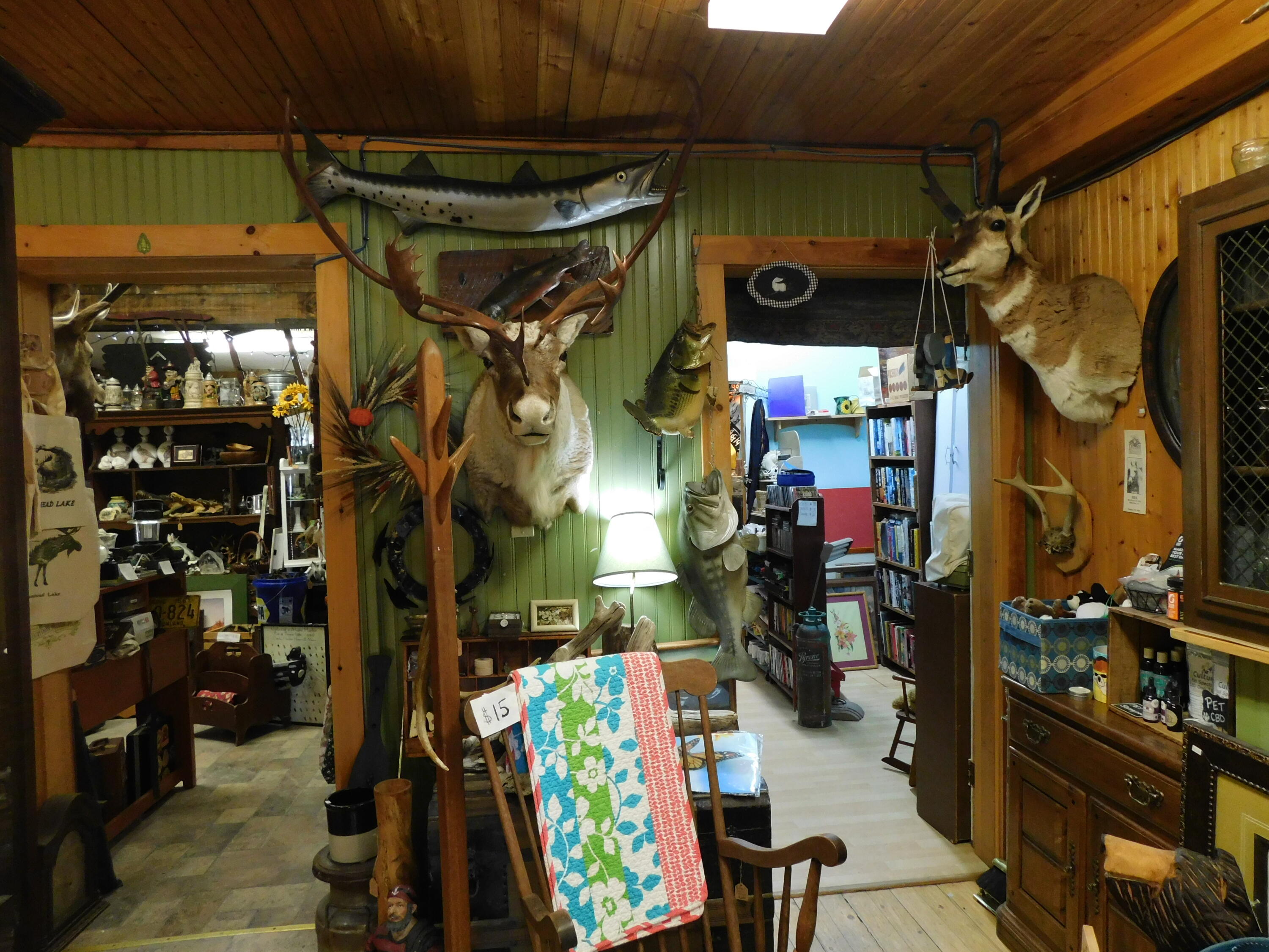 15 Moosehead Lake Road Property Photo 7