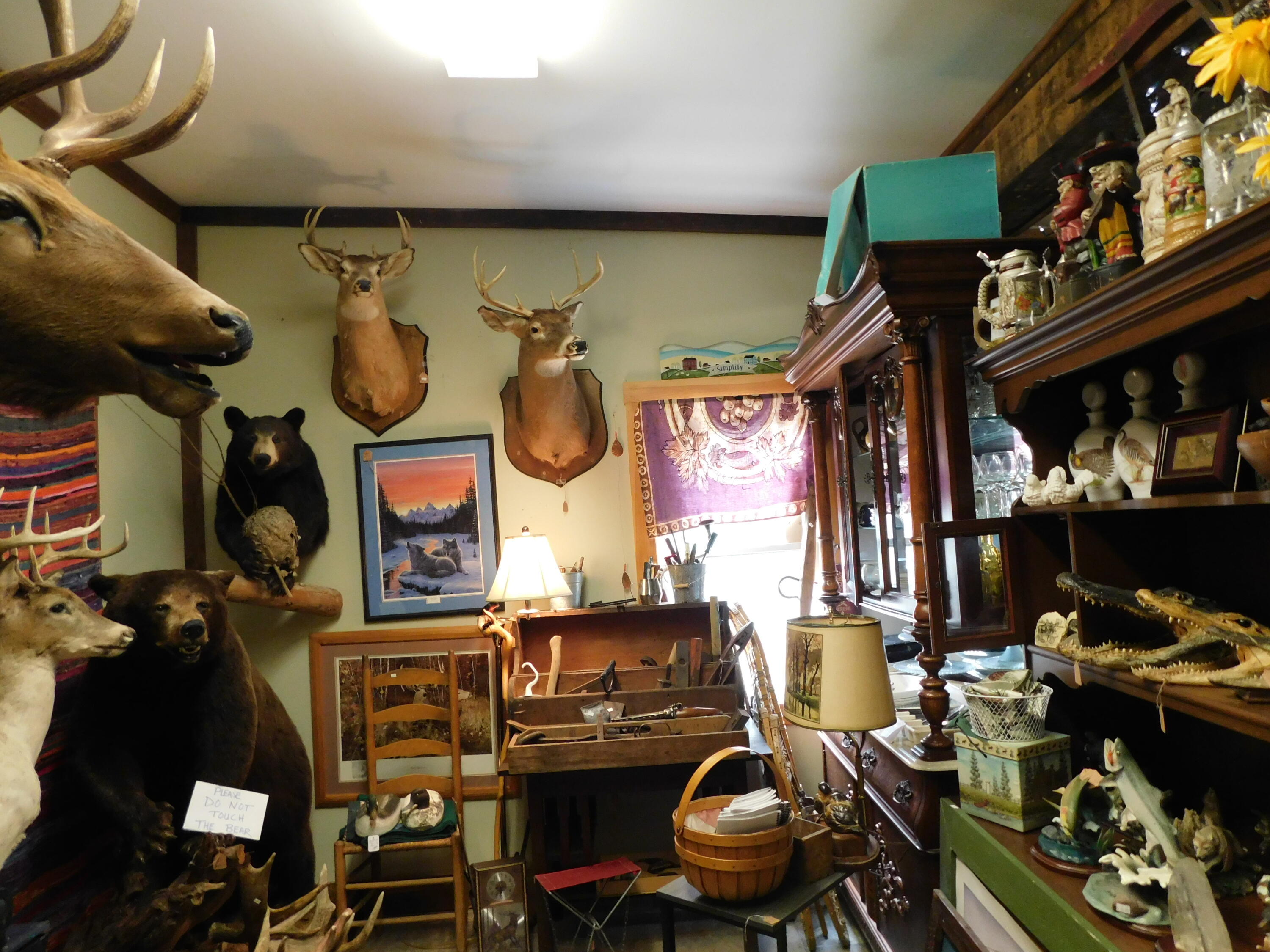 15 Moosehead Lake Road Property Photo 8