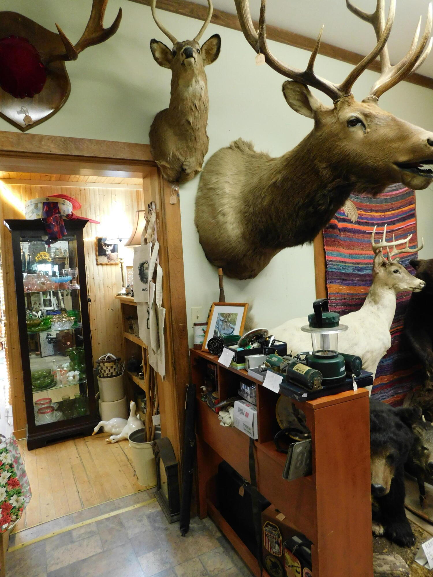 15 Moosehead Lake Road Property Photo 9