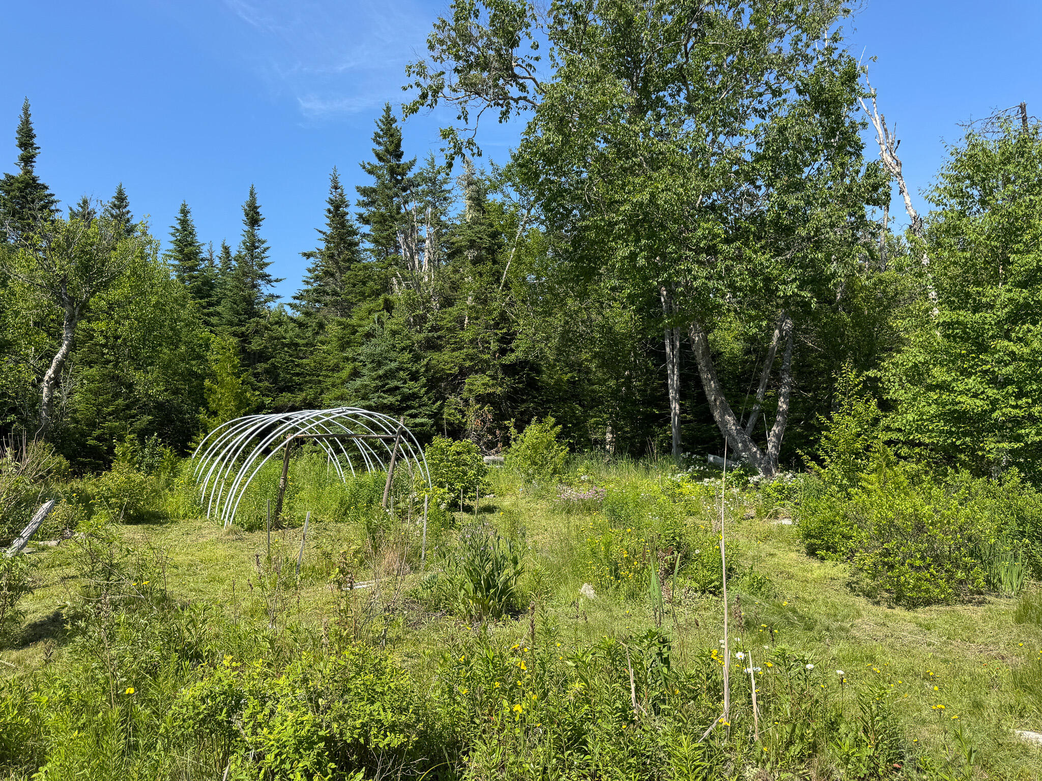 1125 Boot Cove Road Property Photo 15