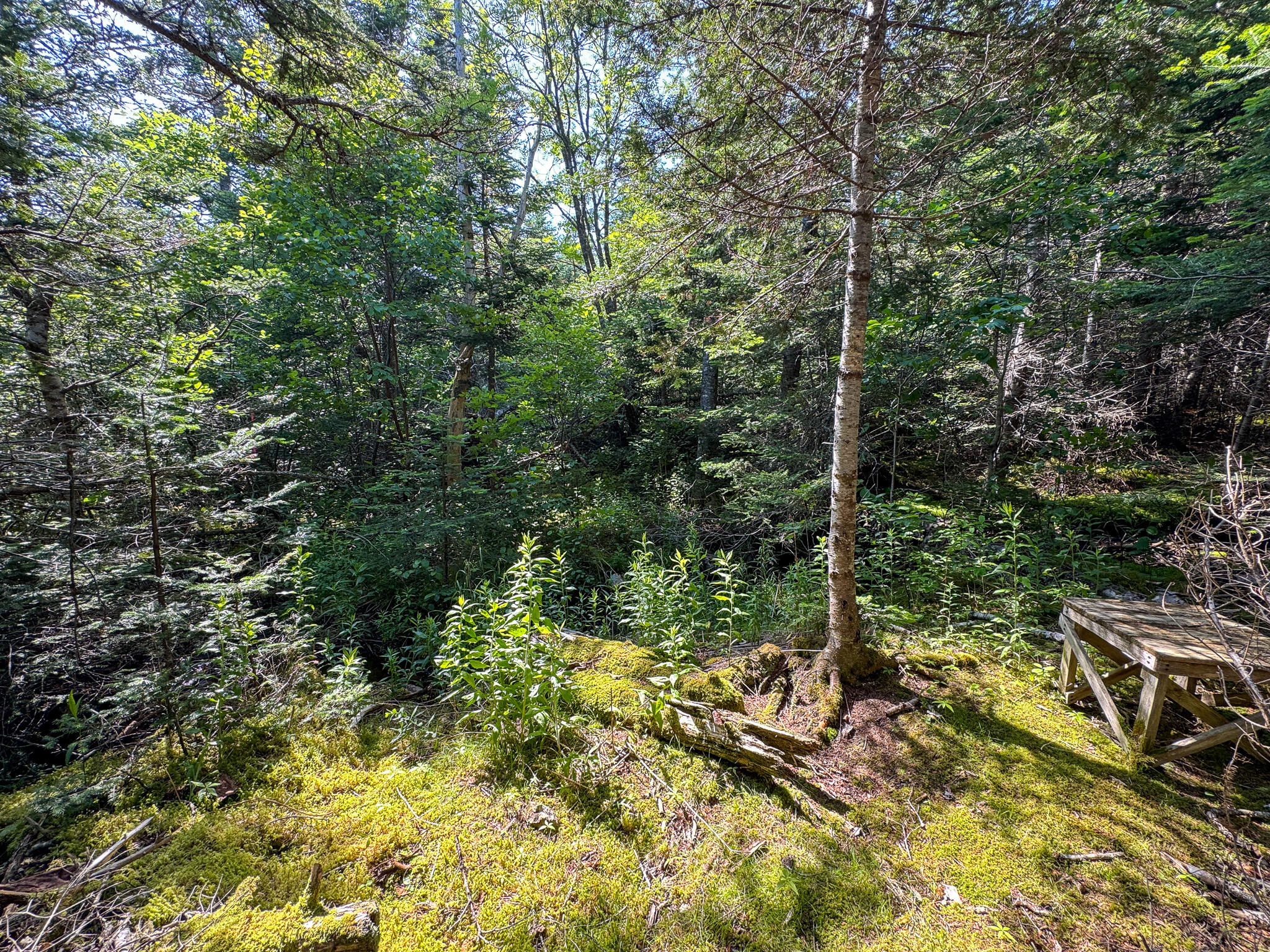 1125 Boot Cove Road Property Photo 16
