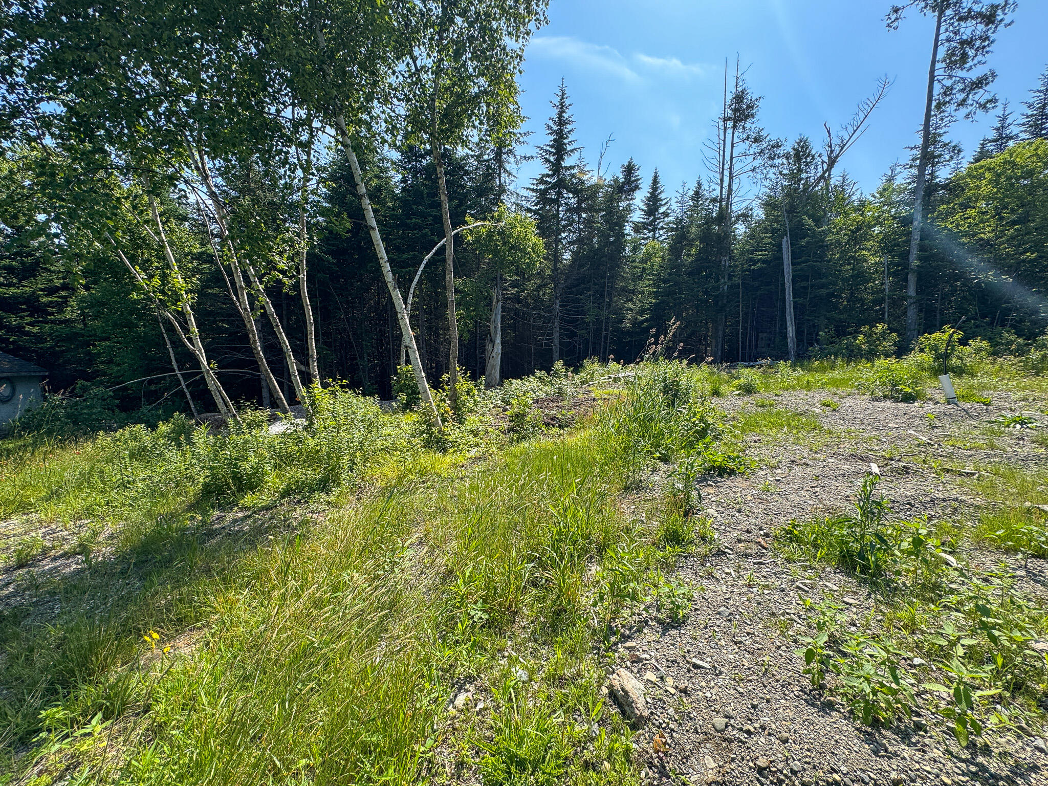1125 Boot Cove Road Property Photo 19