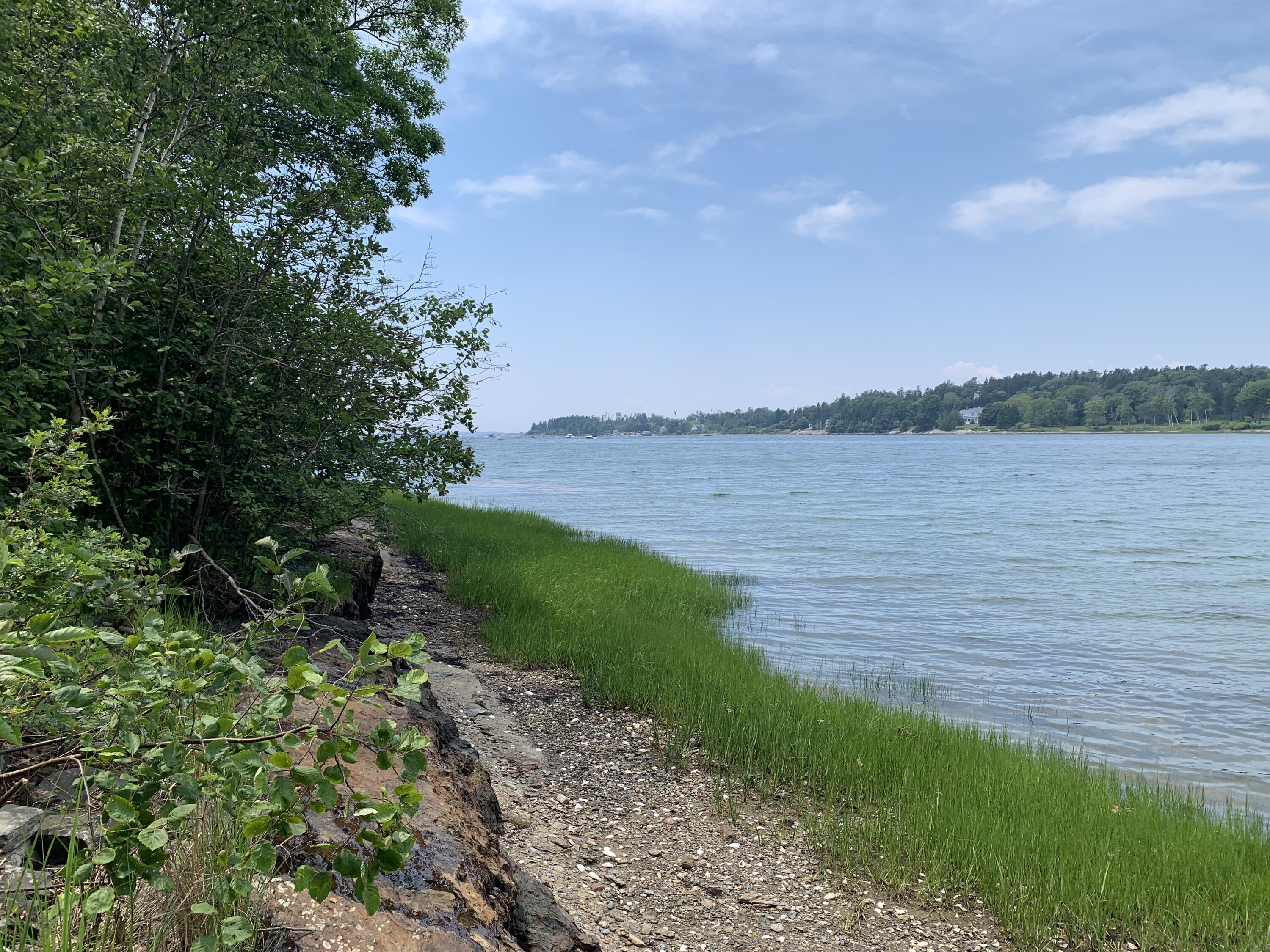 Lot 15 Austin Point Road Property Photo 15