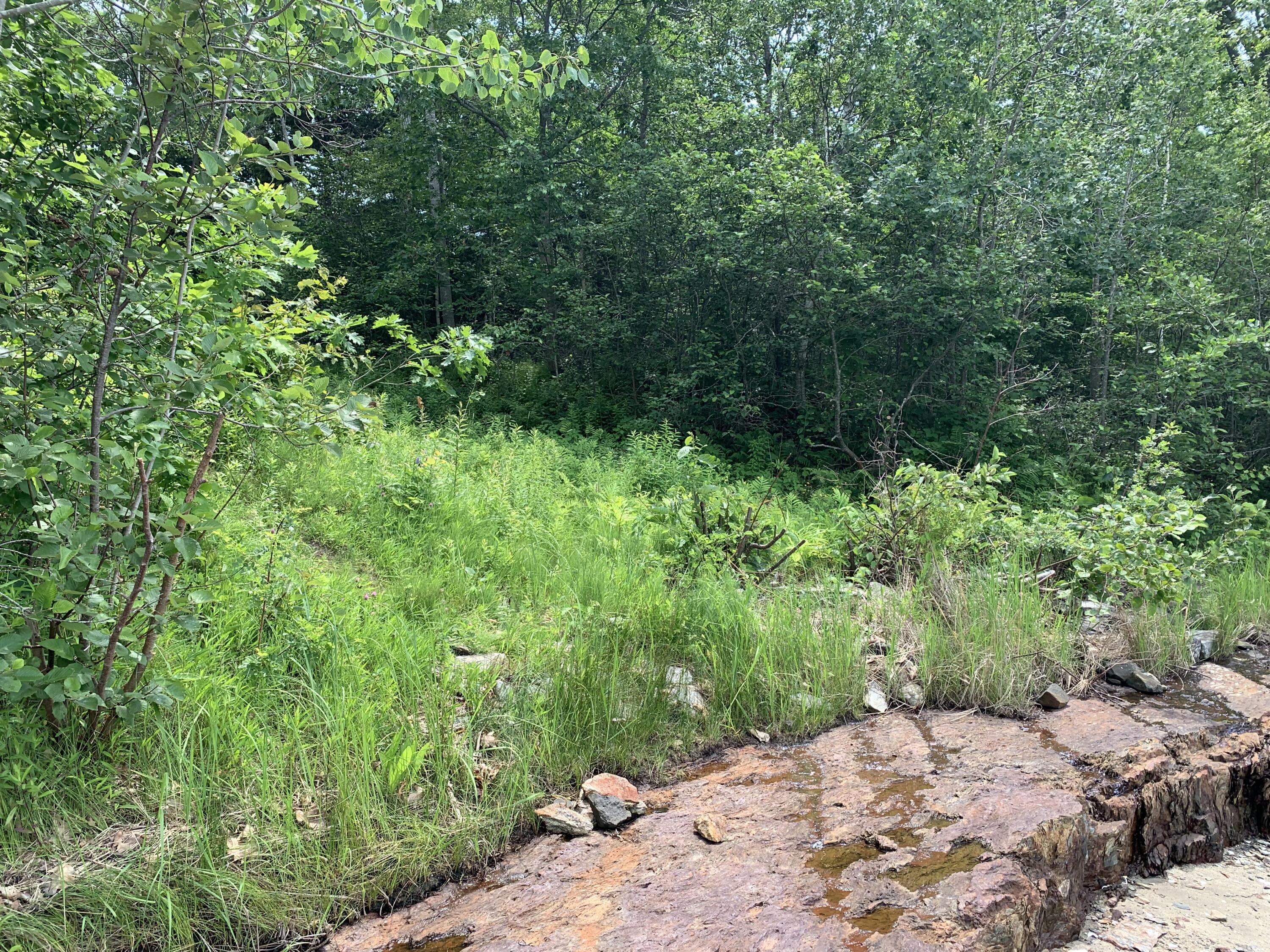 Lot 15 Austin Point Road Property Photo 17