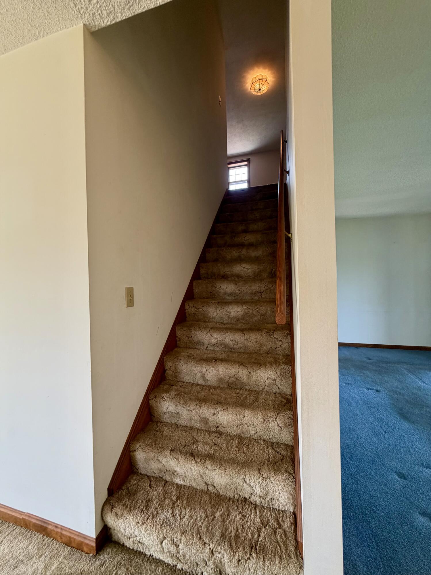 272 Hamlin Road Property Photo 50