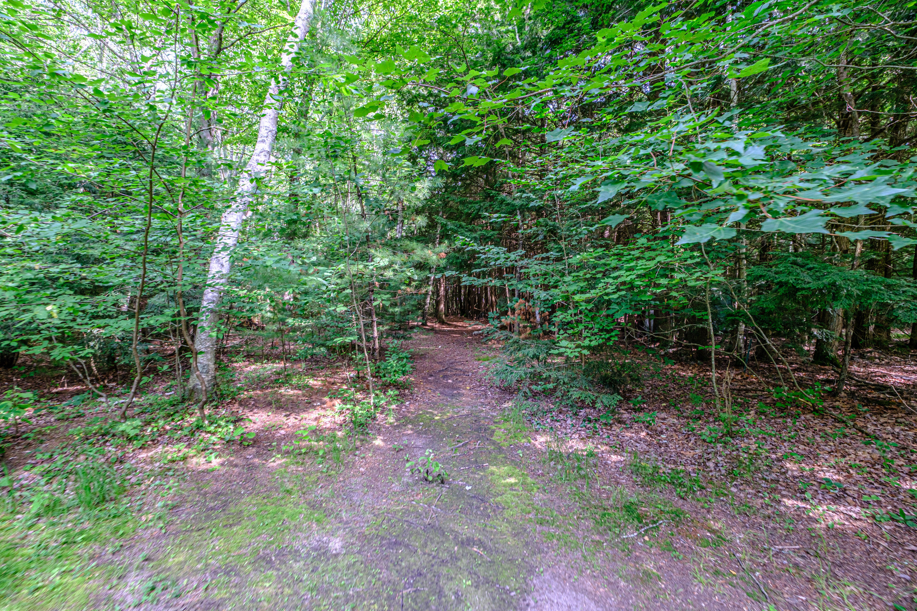 262 Holmes Road Property Photo 48