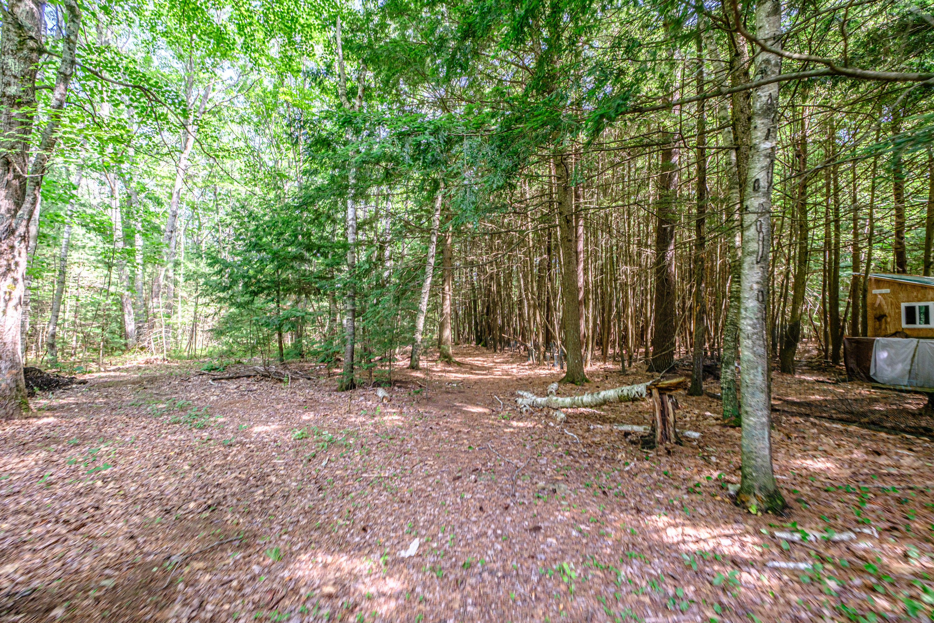 262 Holmes Road Property Photo 49